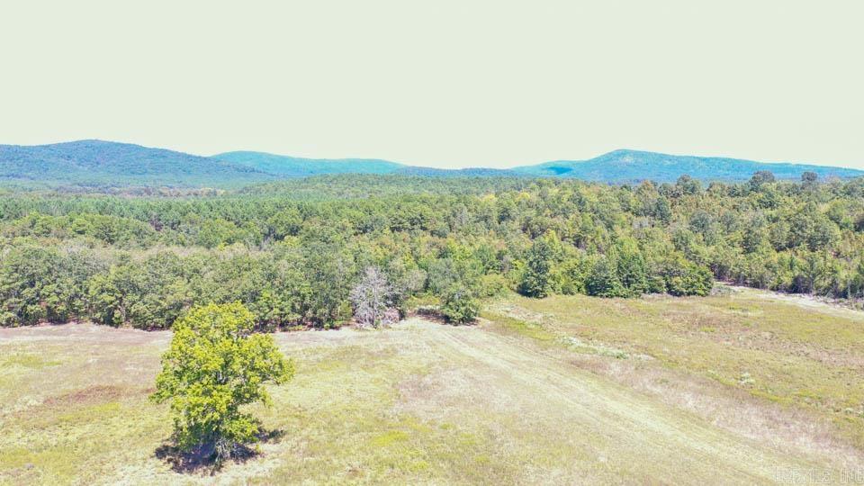 TBD Stoney Point  Odem, AR