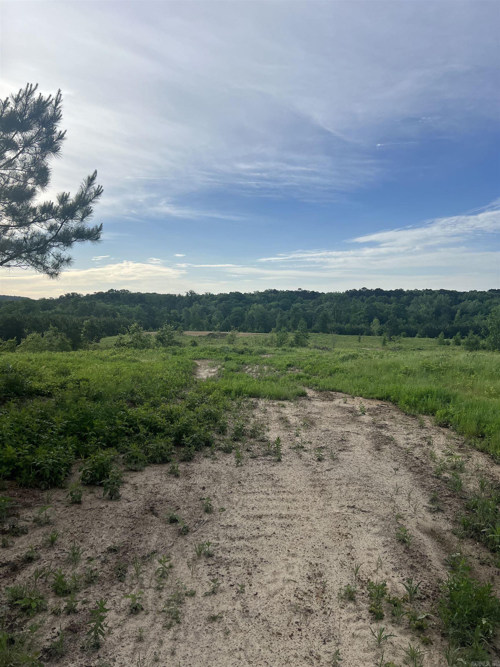 404 Mount Mariah  Bonnerdale, AR