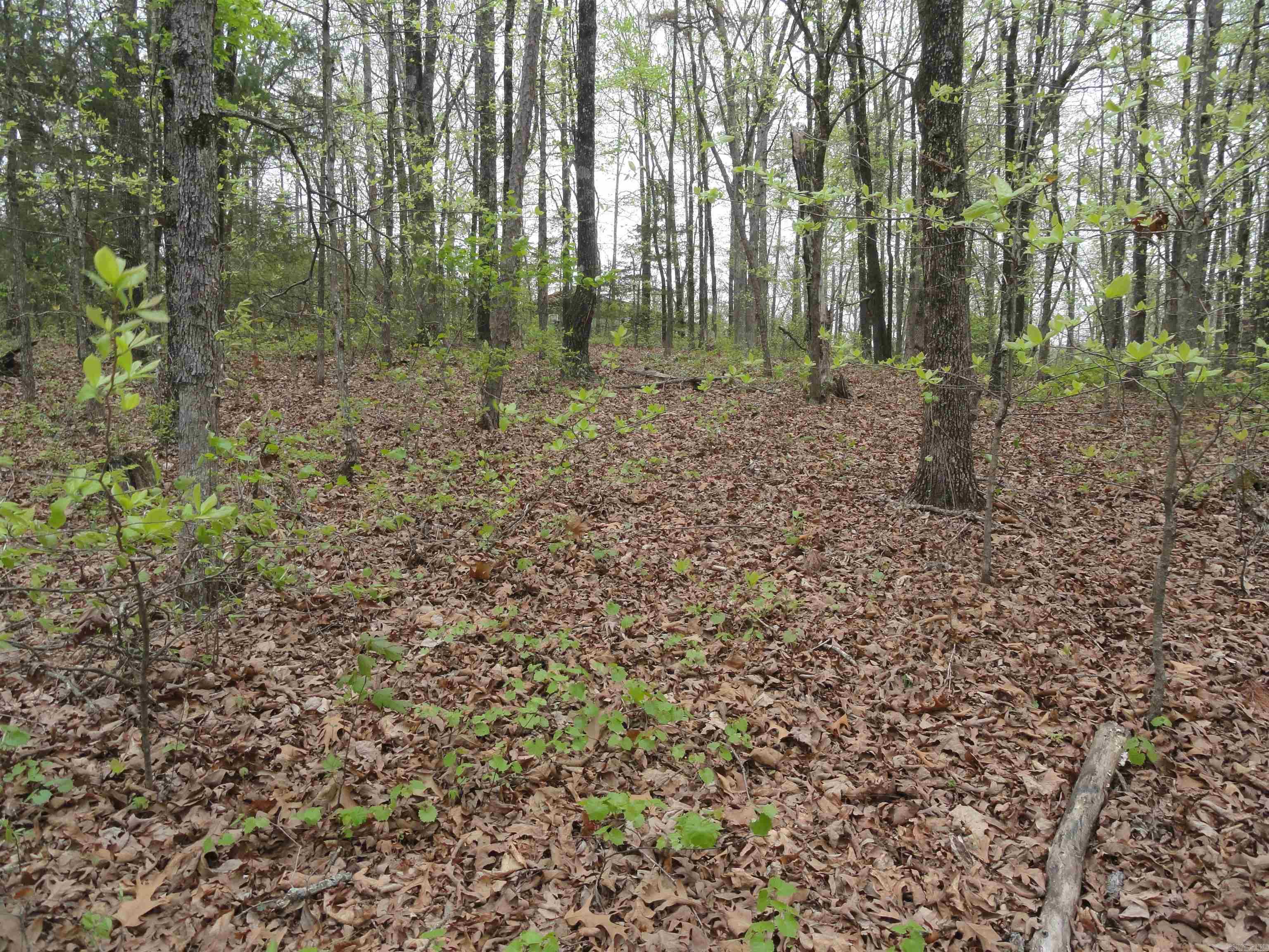 0000 Long Branch Lane Bee Branch, AR 72013