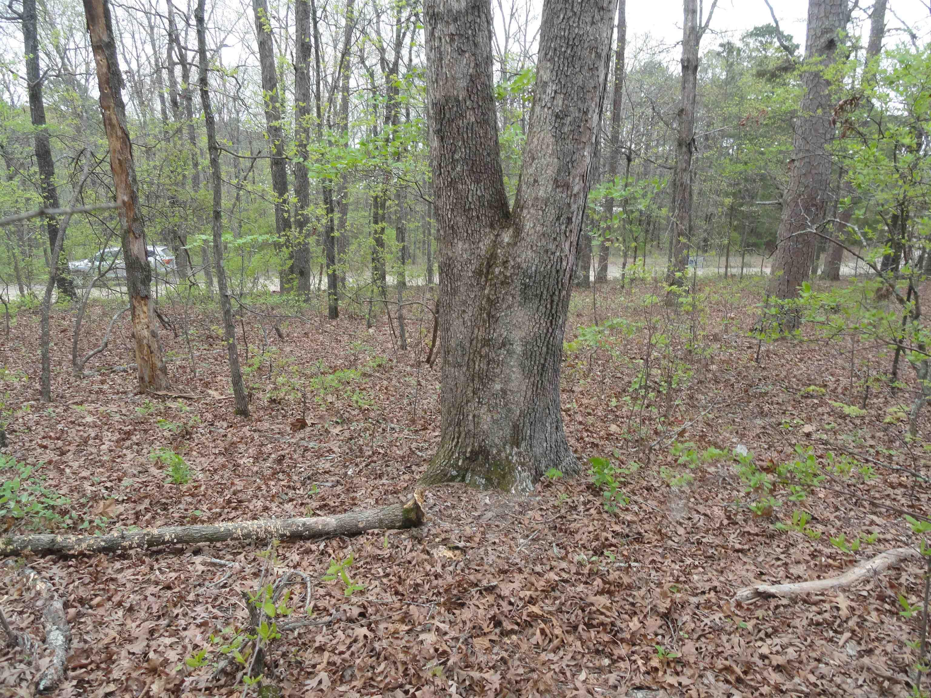 0000 Long Branch Lane Bee Branch, AR 72013