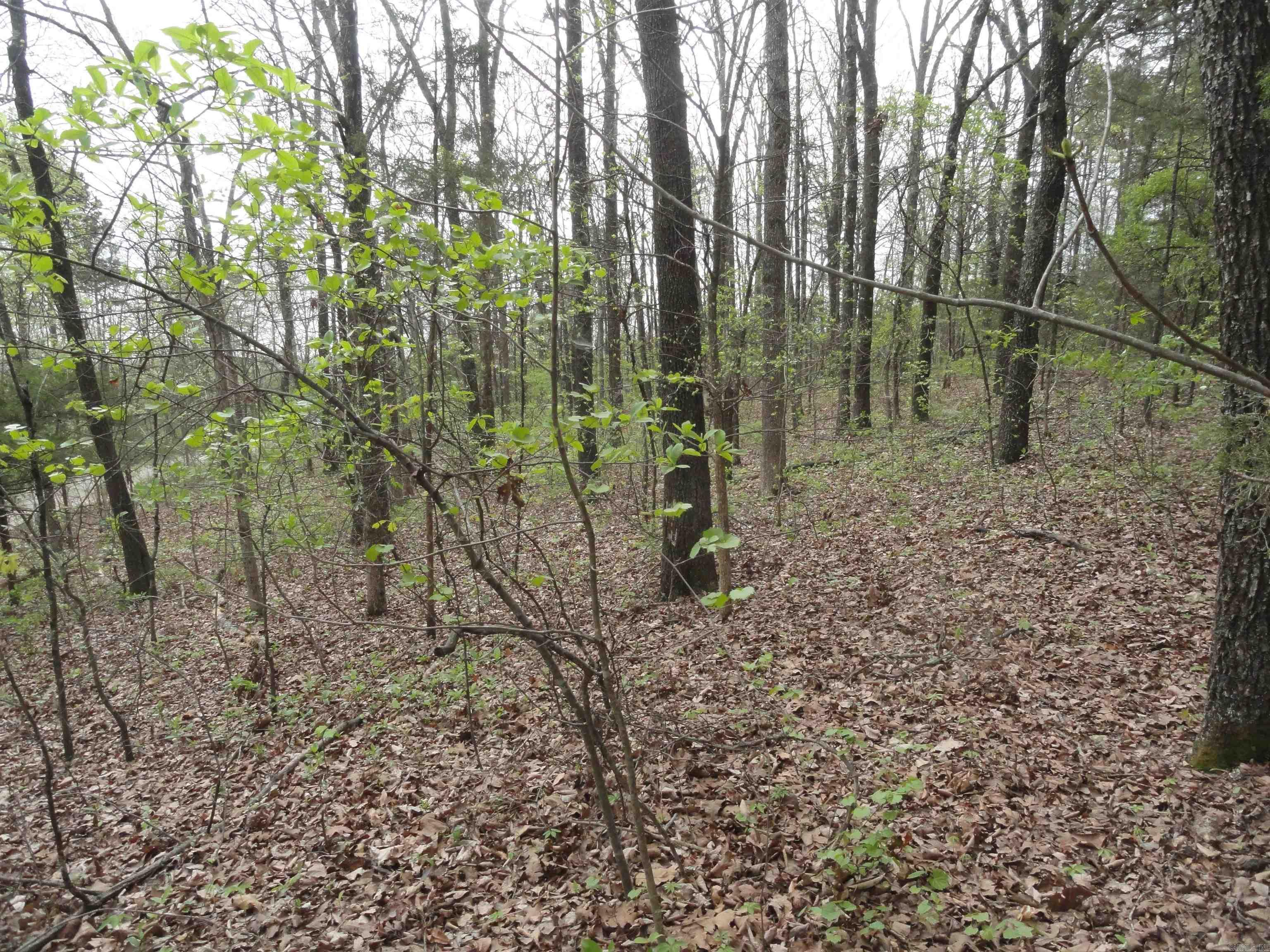 0000 Long Branch Lane Bee Branch, AR 72013