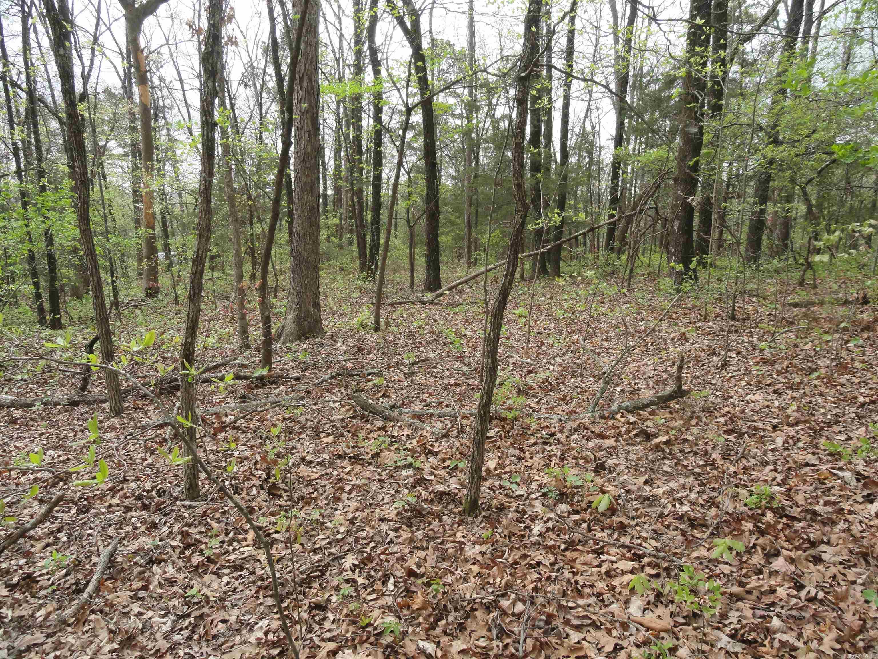 0000 Long Branch Lane Bee Branch, AR 72013
