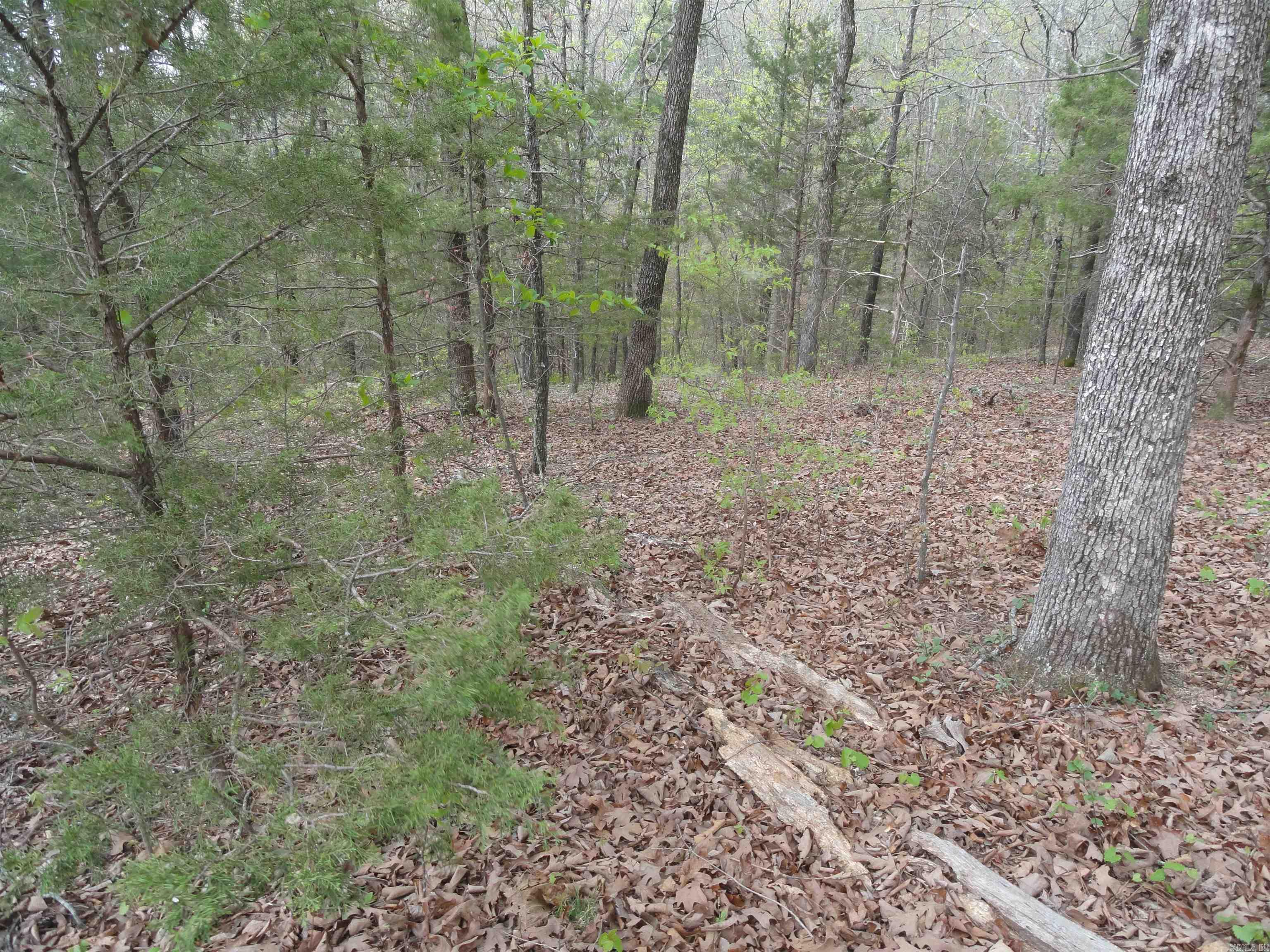 0000 Long Branch Lane Bee Branch, AR 72013