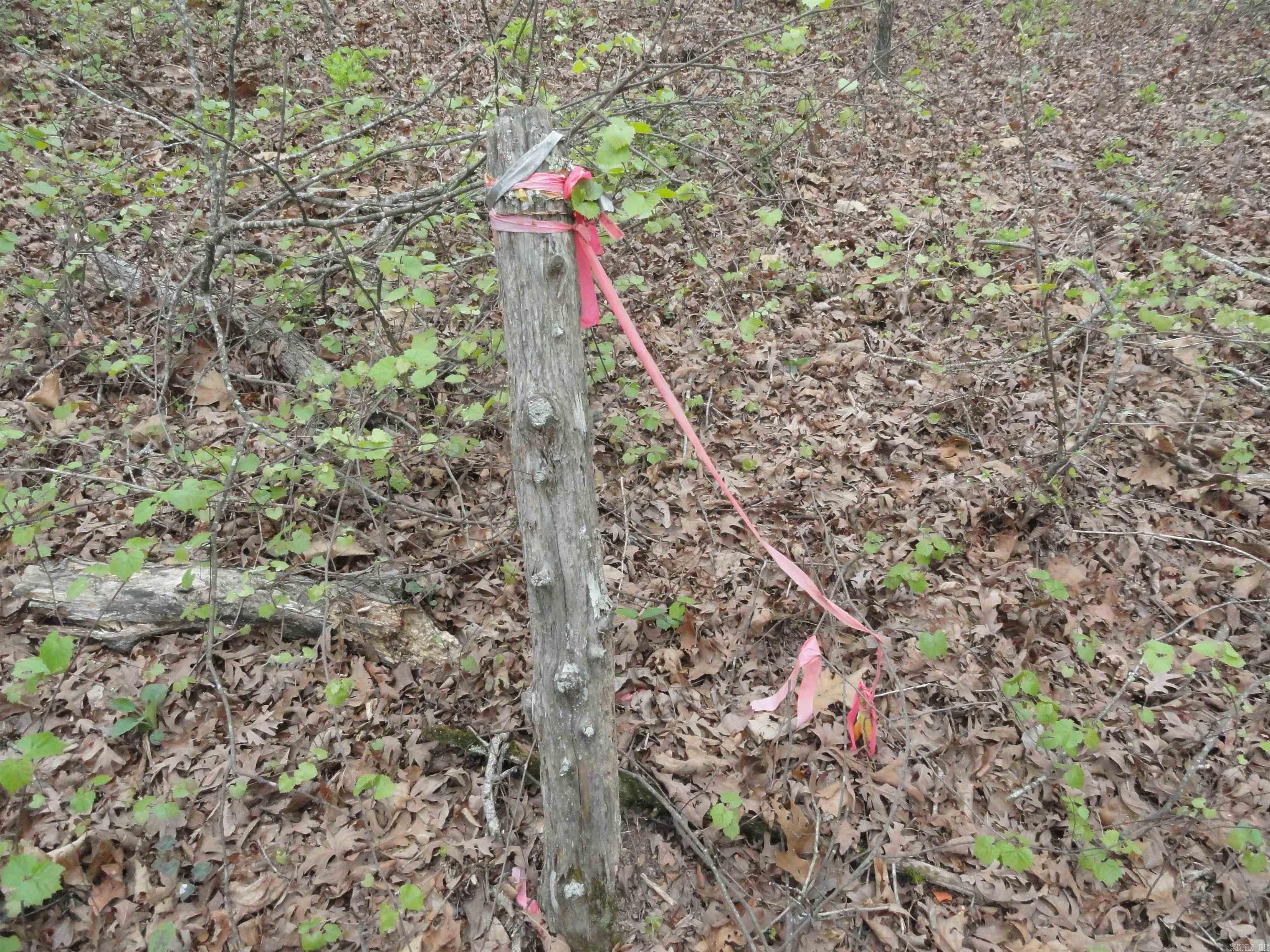 0000 Long Branch Lane Bee Branch, AR 72013