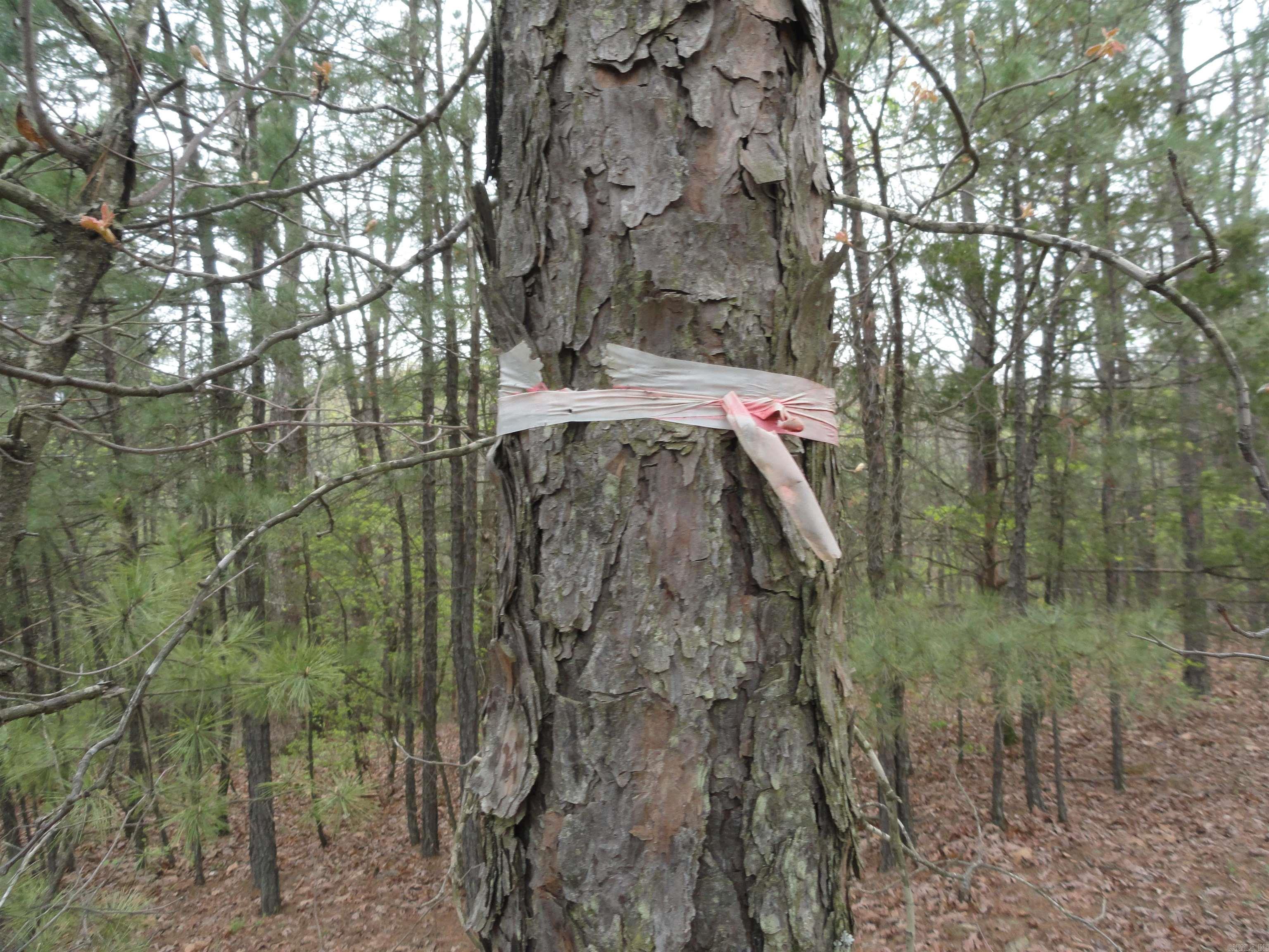 0000 Long Branch Lane Bee Branch, AR 72013