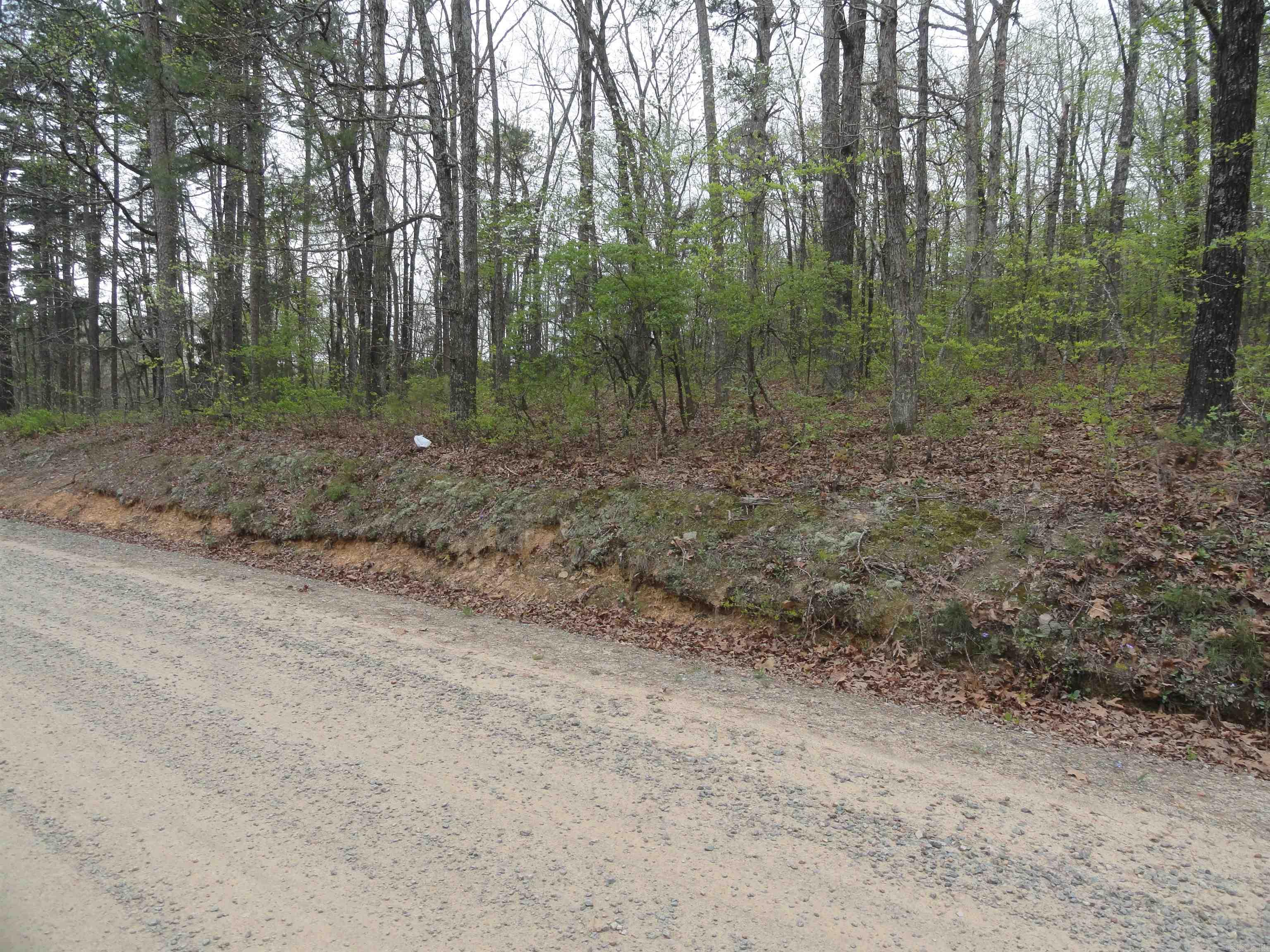 0000 Long Branch Lane Bee Branch, AR 72013