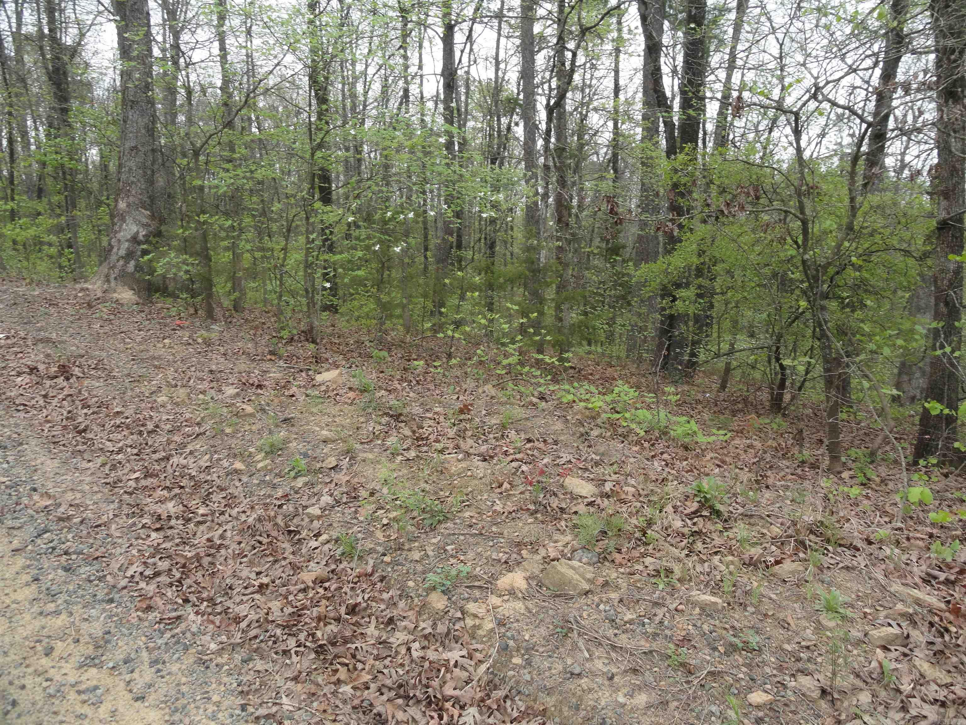0000 Long Branch Lane Bee Branch, AR 72013