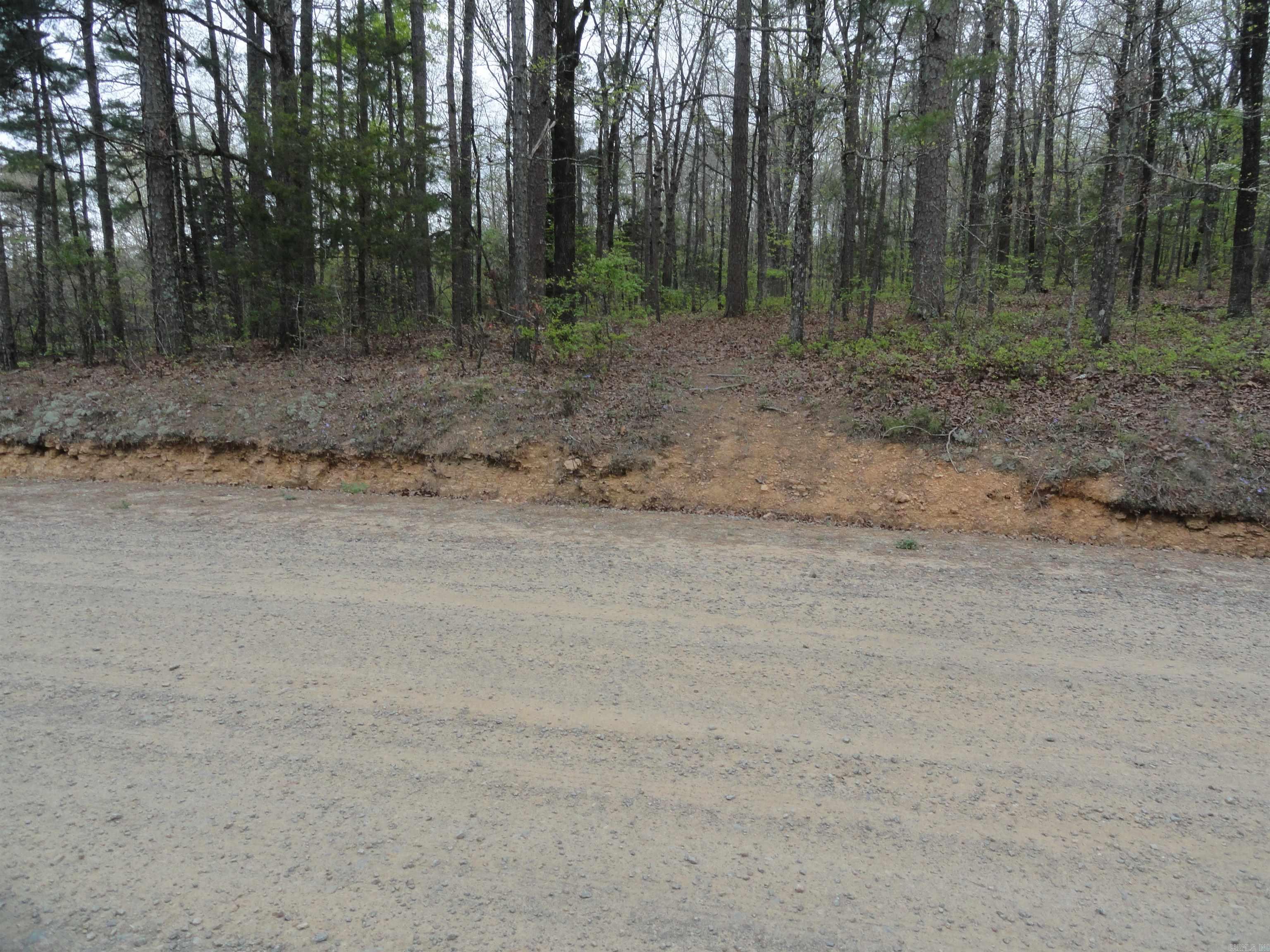 0000 Long Branch Lane Bee Branch, AR 72013