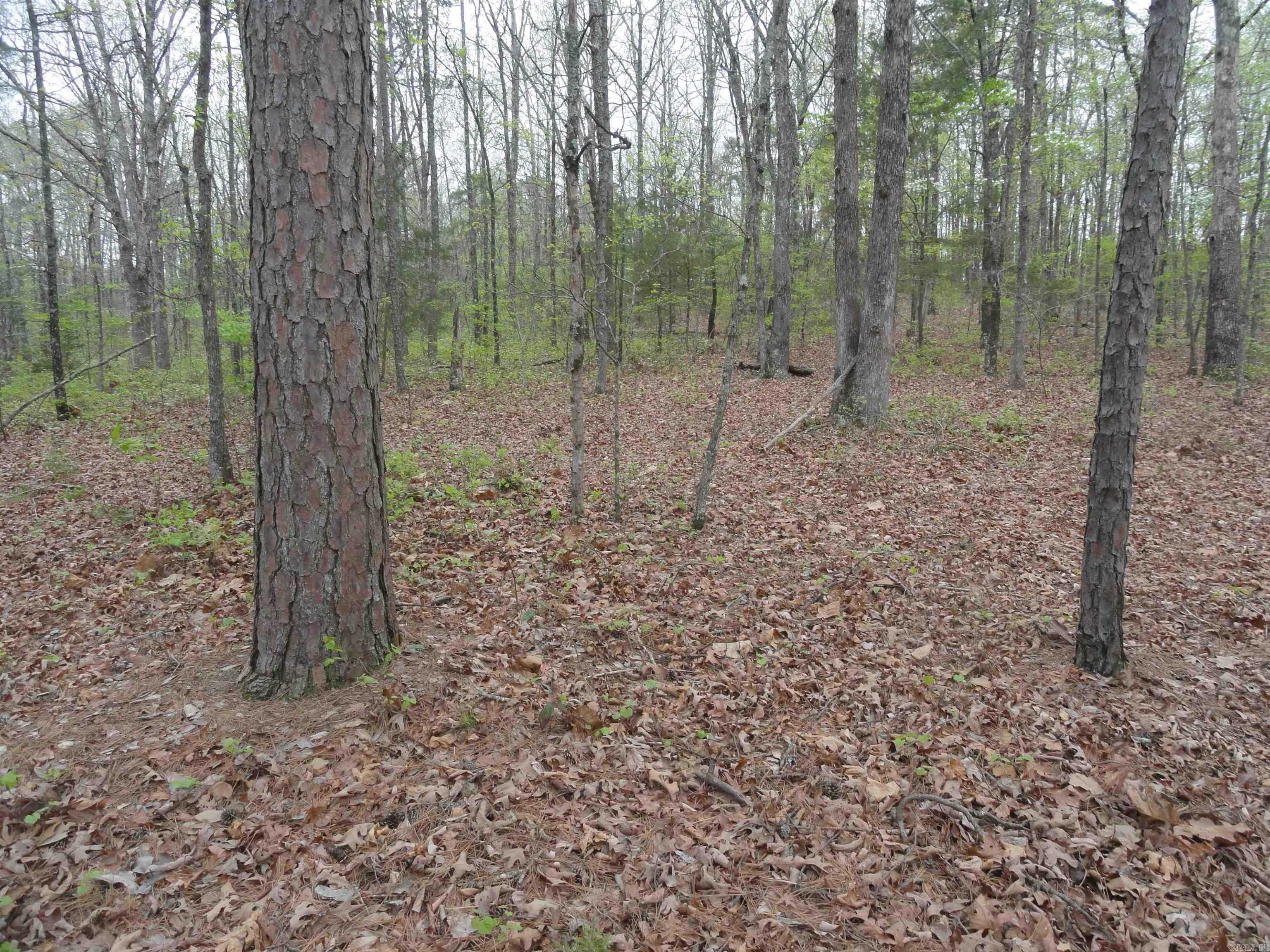 0000 Long Branch Lane Bee Branch, AR 72013