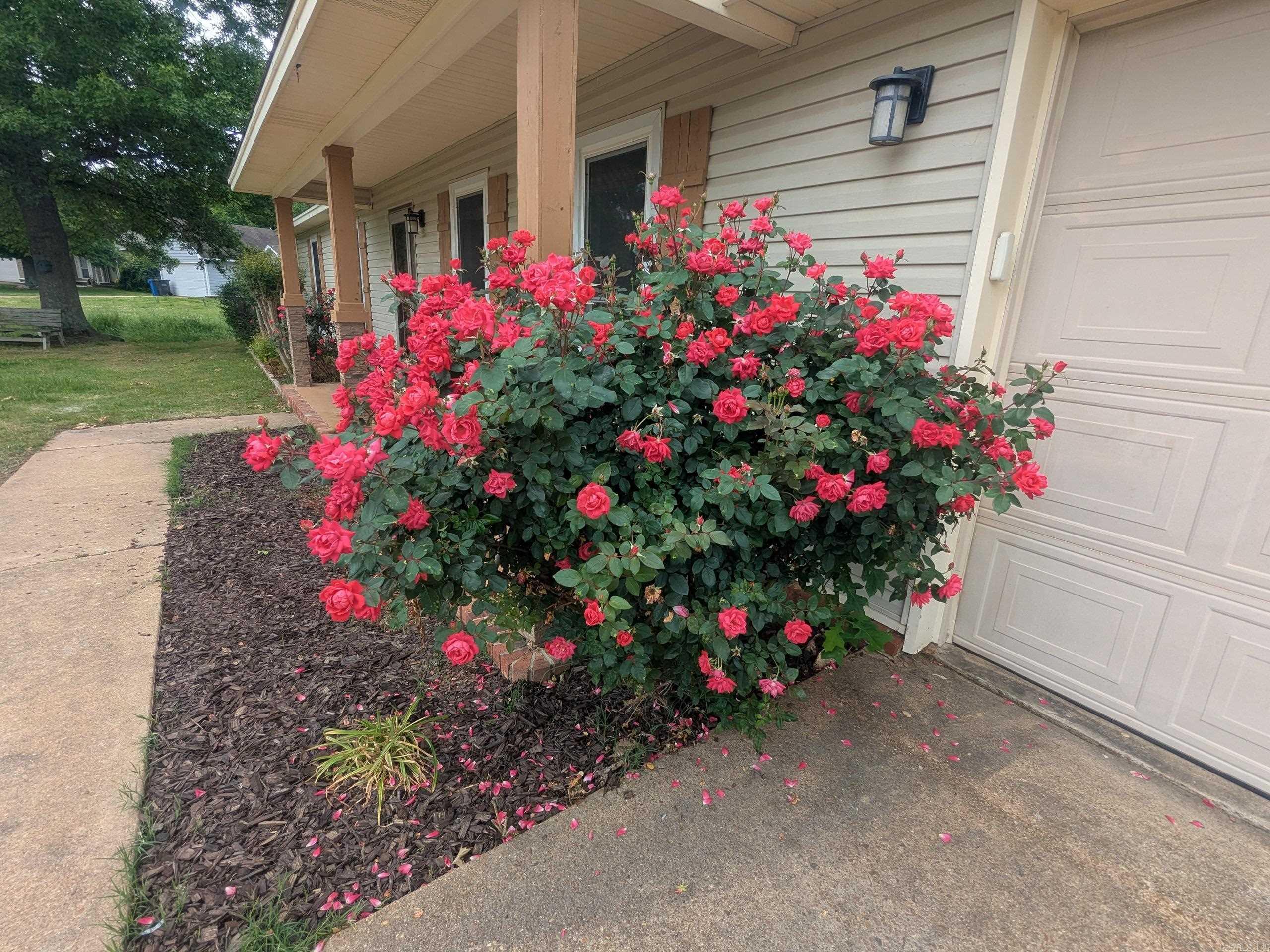 327 Sagewood  Jonesboro, AR