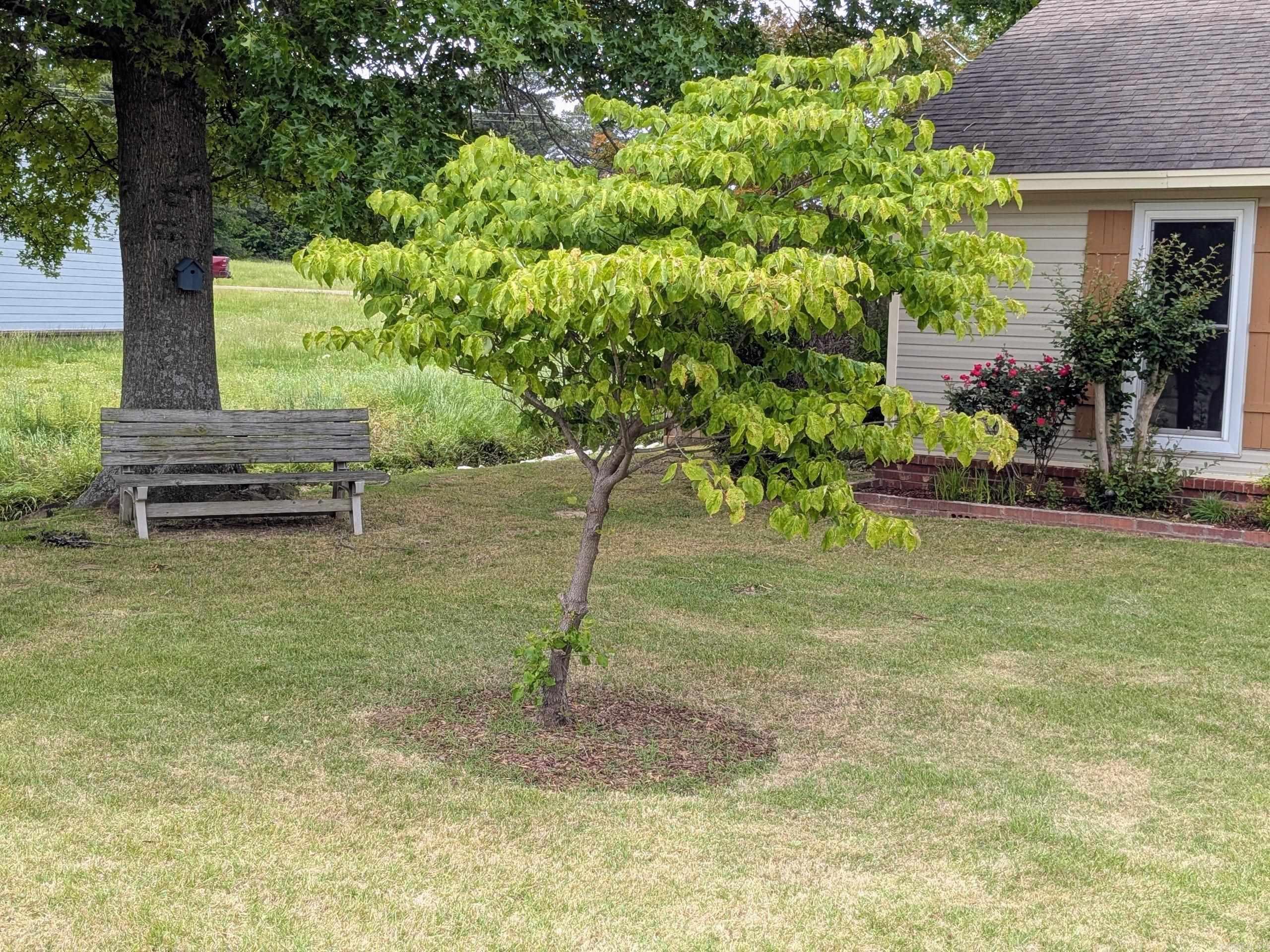 327 Sagewood  Jonesboro, AR