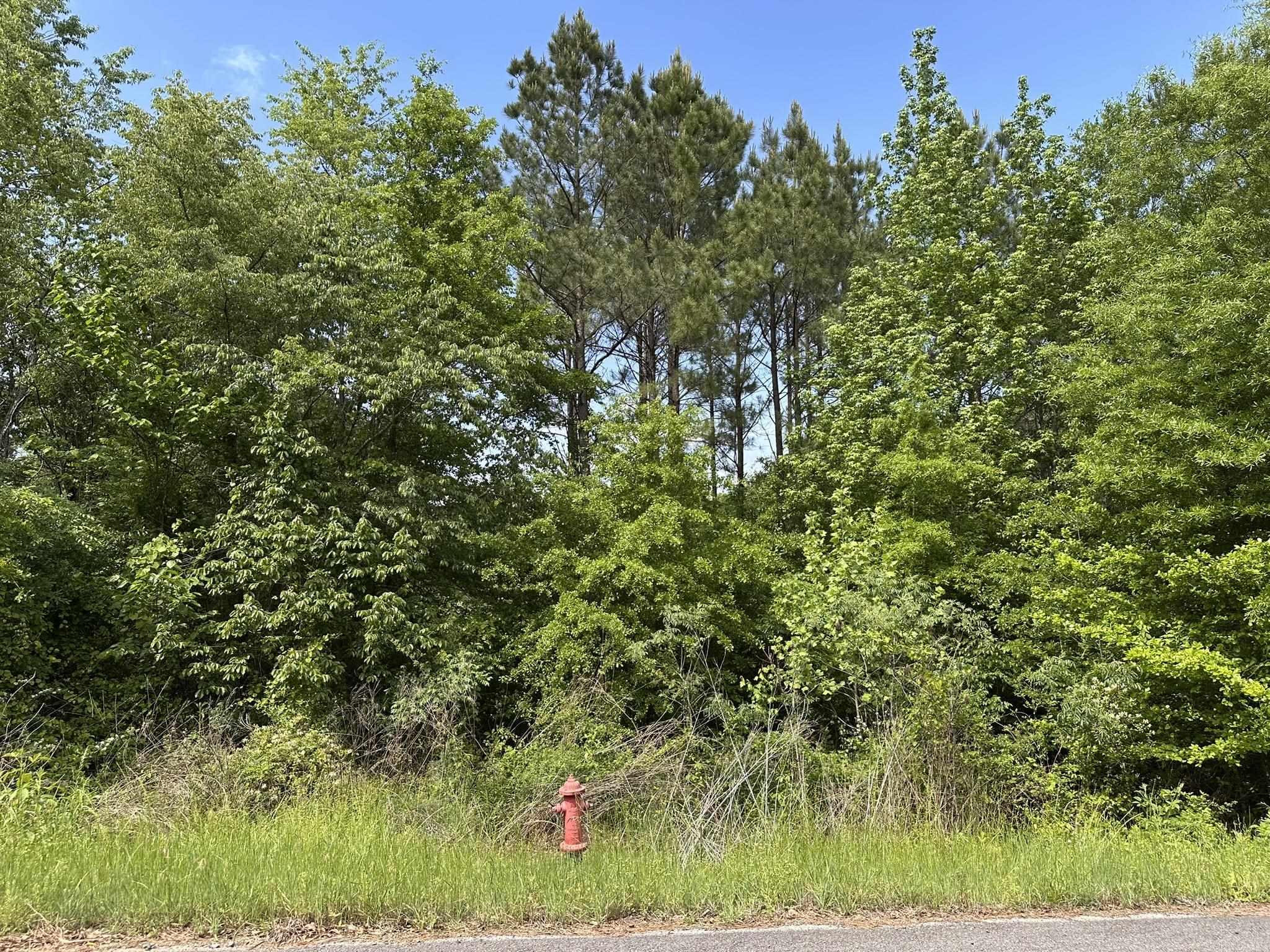000 Panther Run  Greenbrier, AR