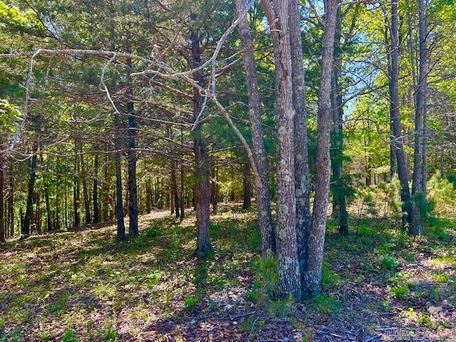 1250 Fry  Harriet, AR