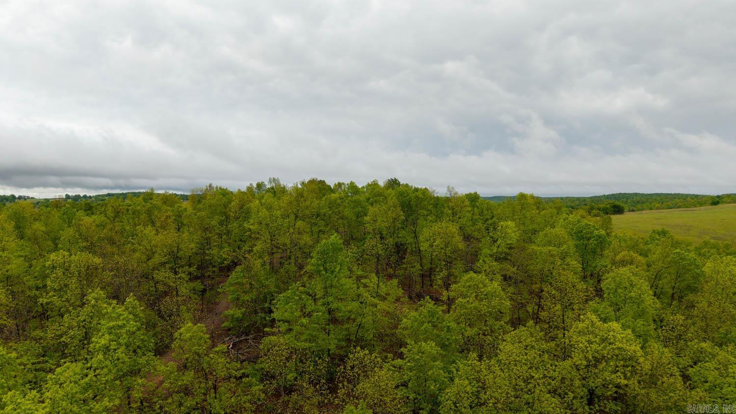 000 Union Hill Rd  Mammoth Spring, AR