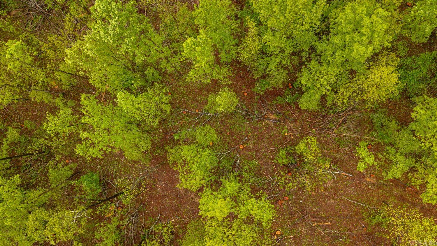 000 Union Hill Rd  Mammoth Spring, AR