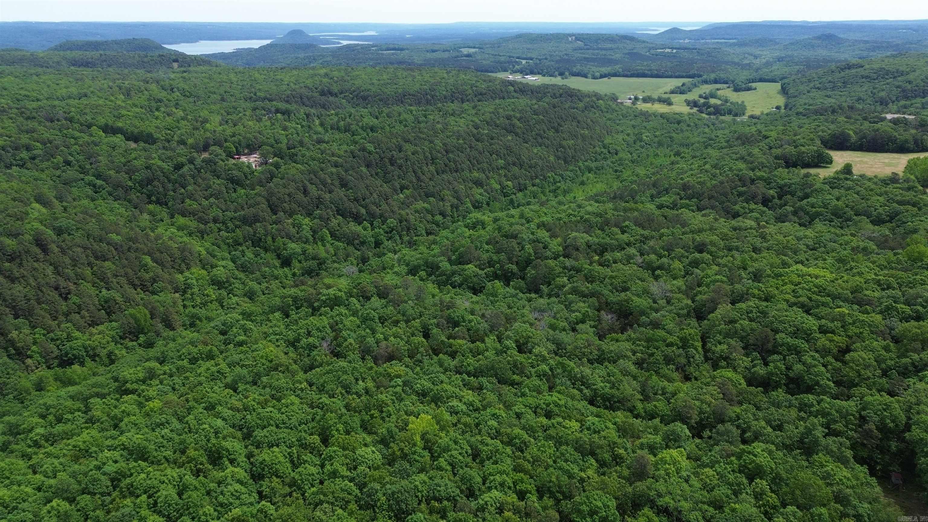 000 East Mountain Road  Bee Branch, AR