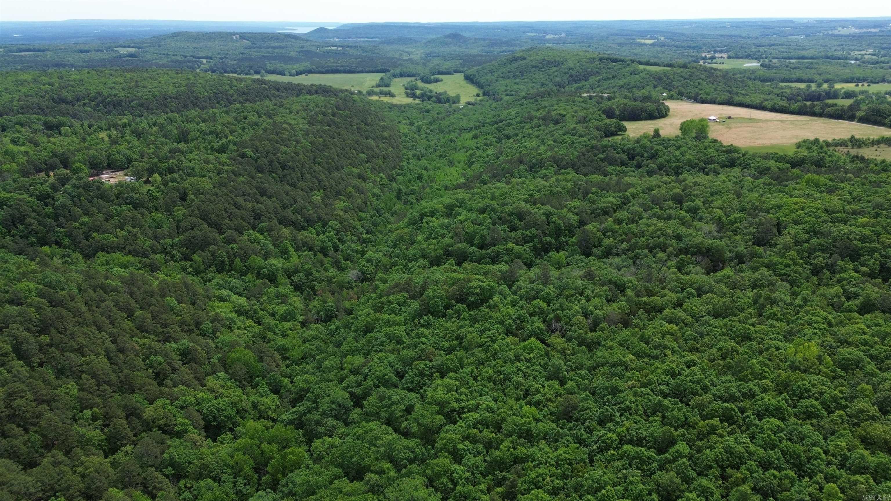 000 East Mountain Road  Bee Branch, AR