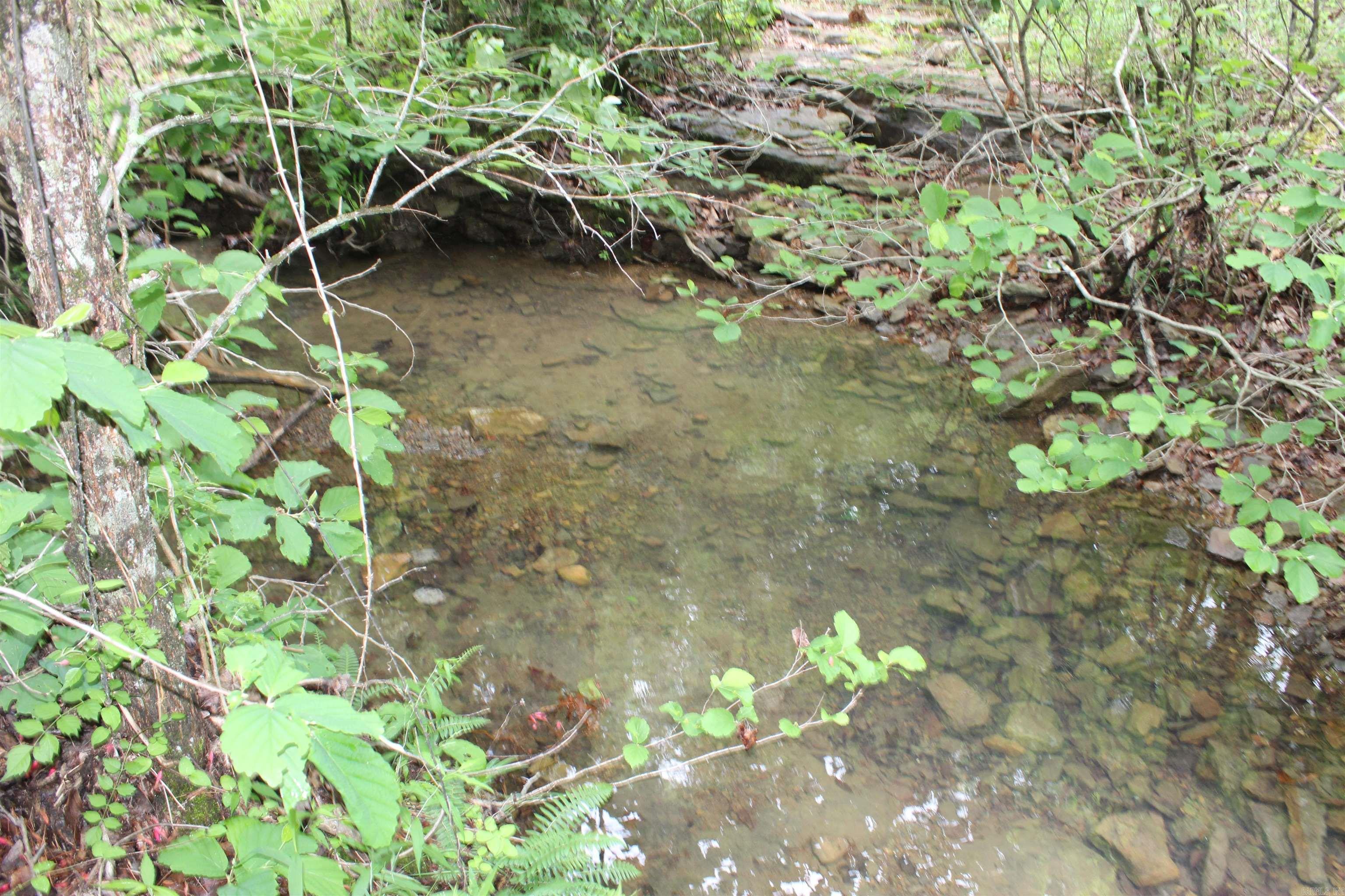000 East Mountain Road  Bee Branch, AR