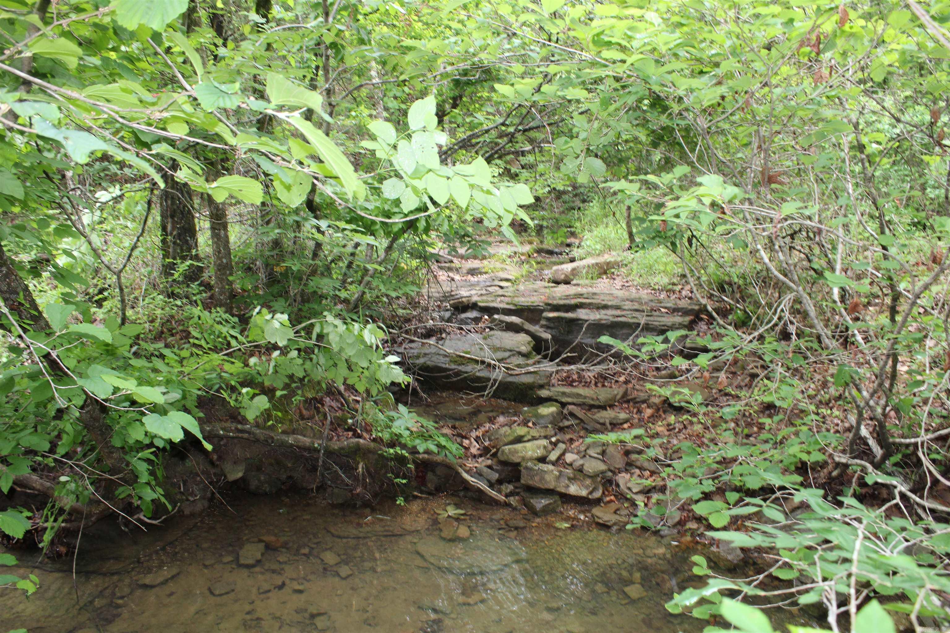 000 East Mountain Road  Bee Branch, AR