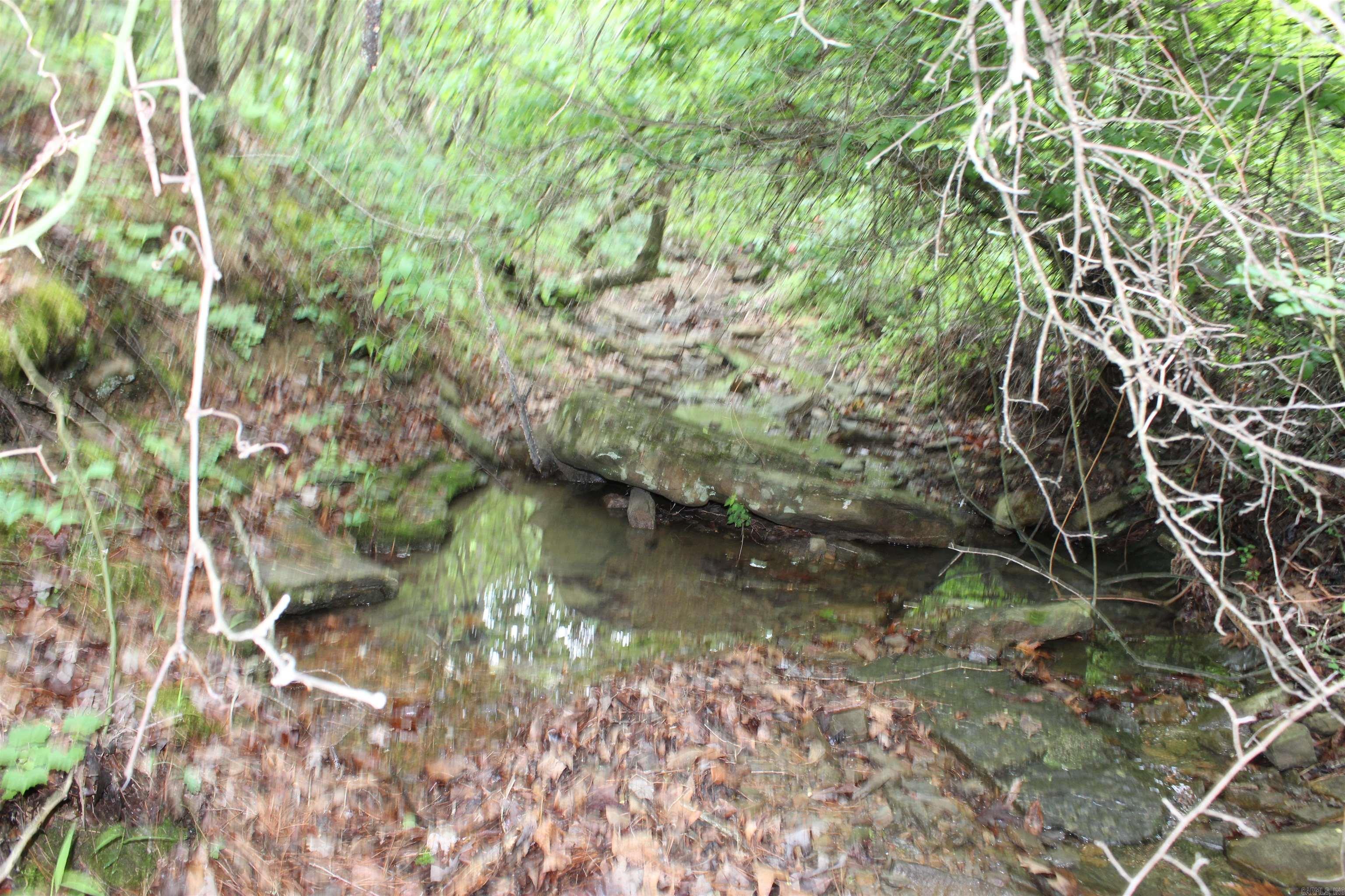 000 East Mountain Road  Bee Branch, AR
