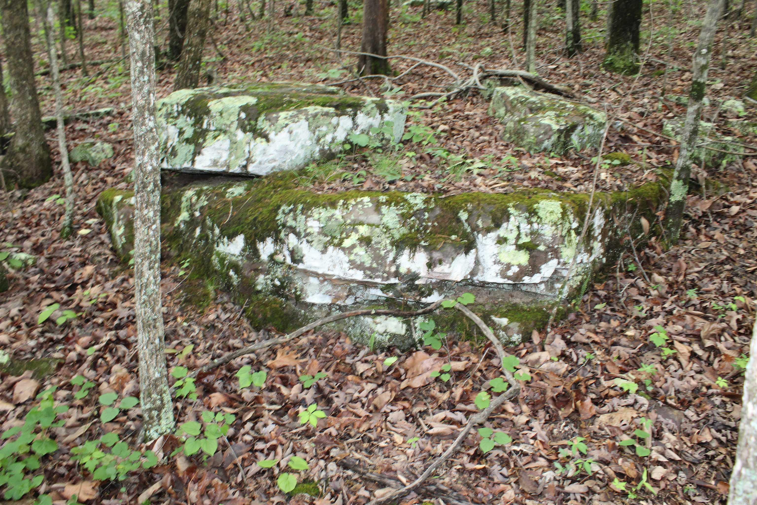 000 East Mountain Road  Bee Branch, AR