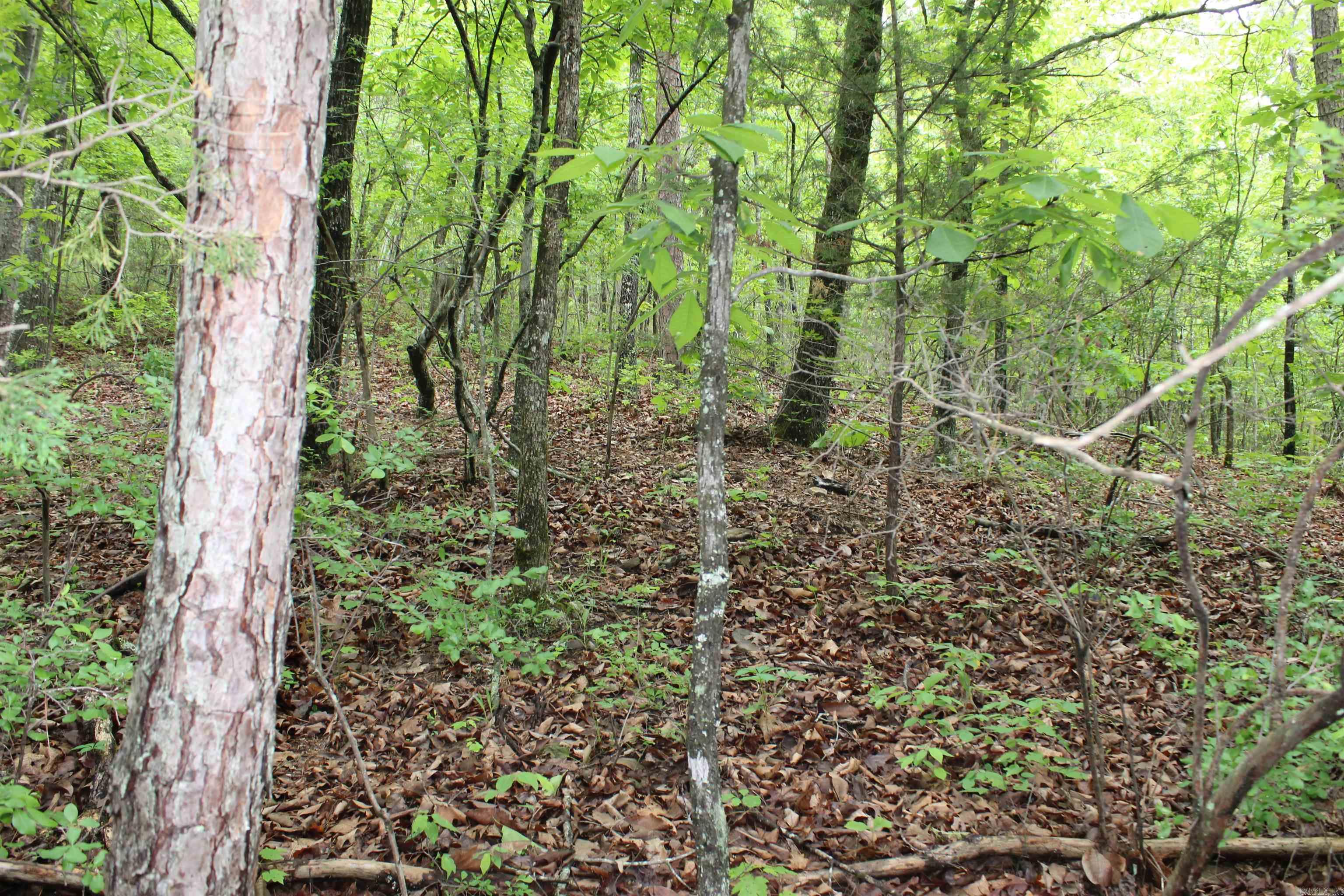 000 East Mountain Road  Bee Branch, AR