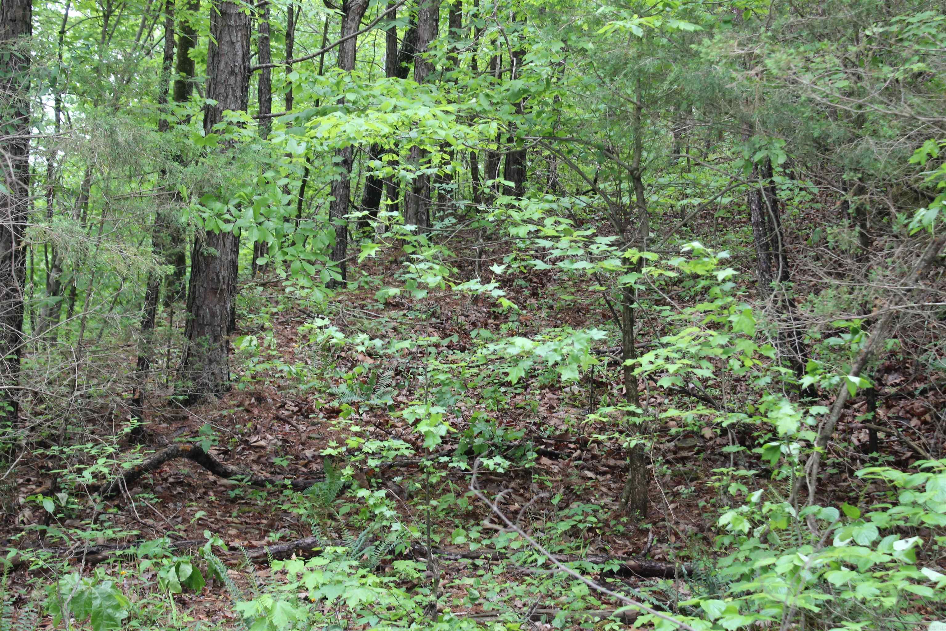 000 East Mountain Road  Bee Branch, AR