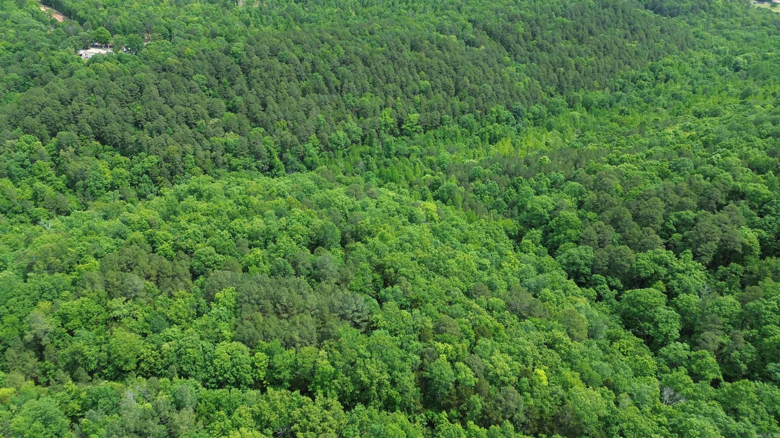 000 East Mountain Road  Bee Branch, AR