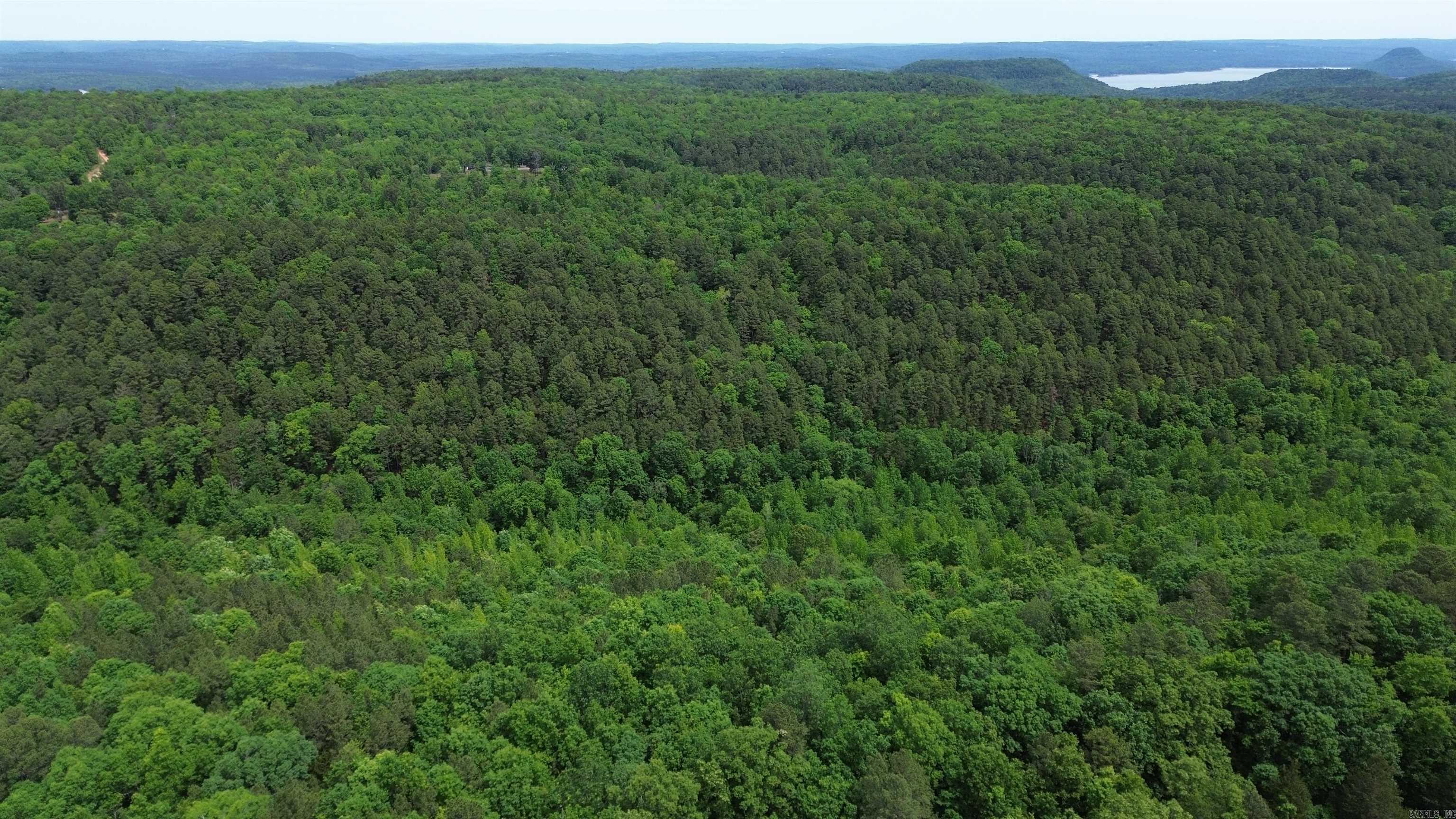 000 East Mountain Road  Bee Branch, AR
