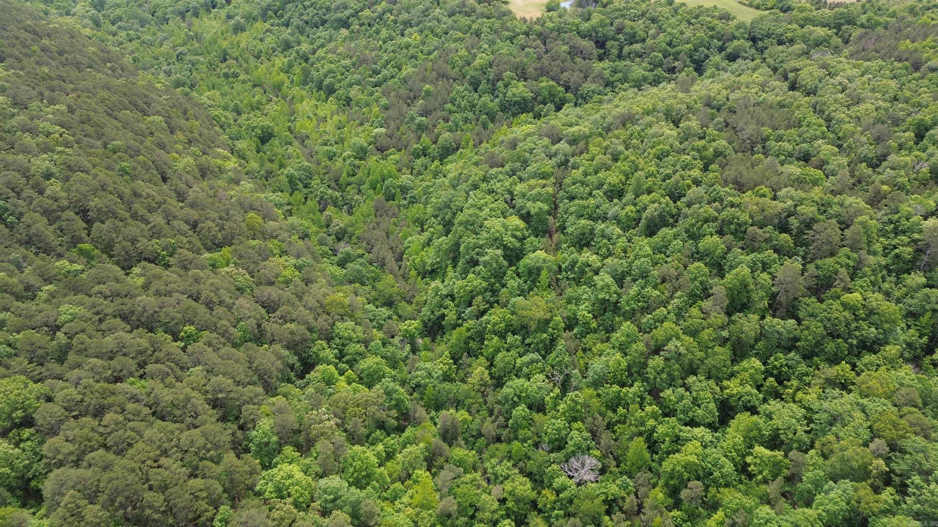 000 East Mountain Road  Bee Branch, AR