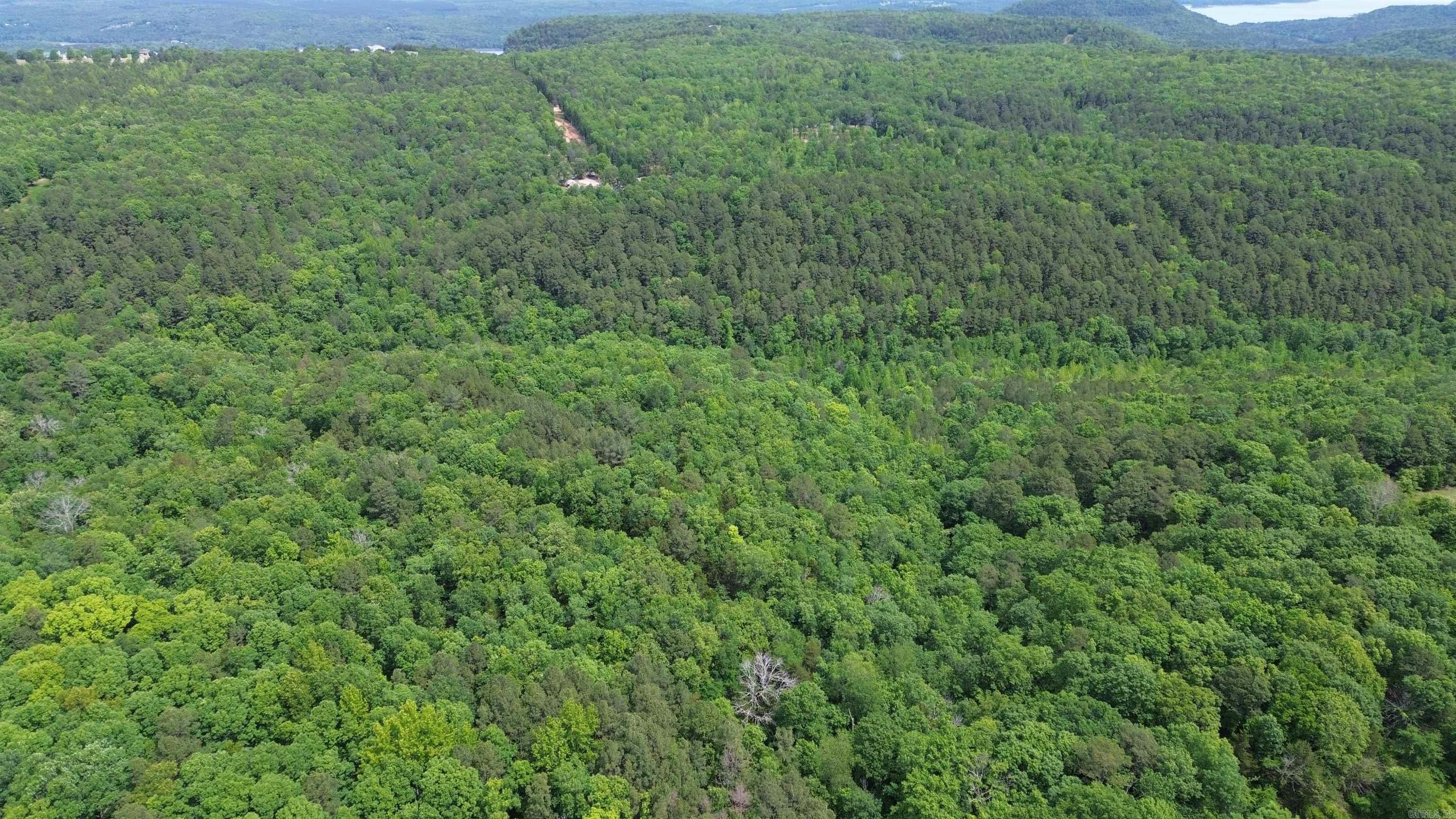 000 East Mountain Road  Bee Branch, AR