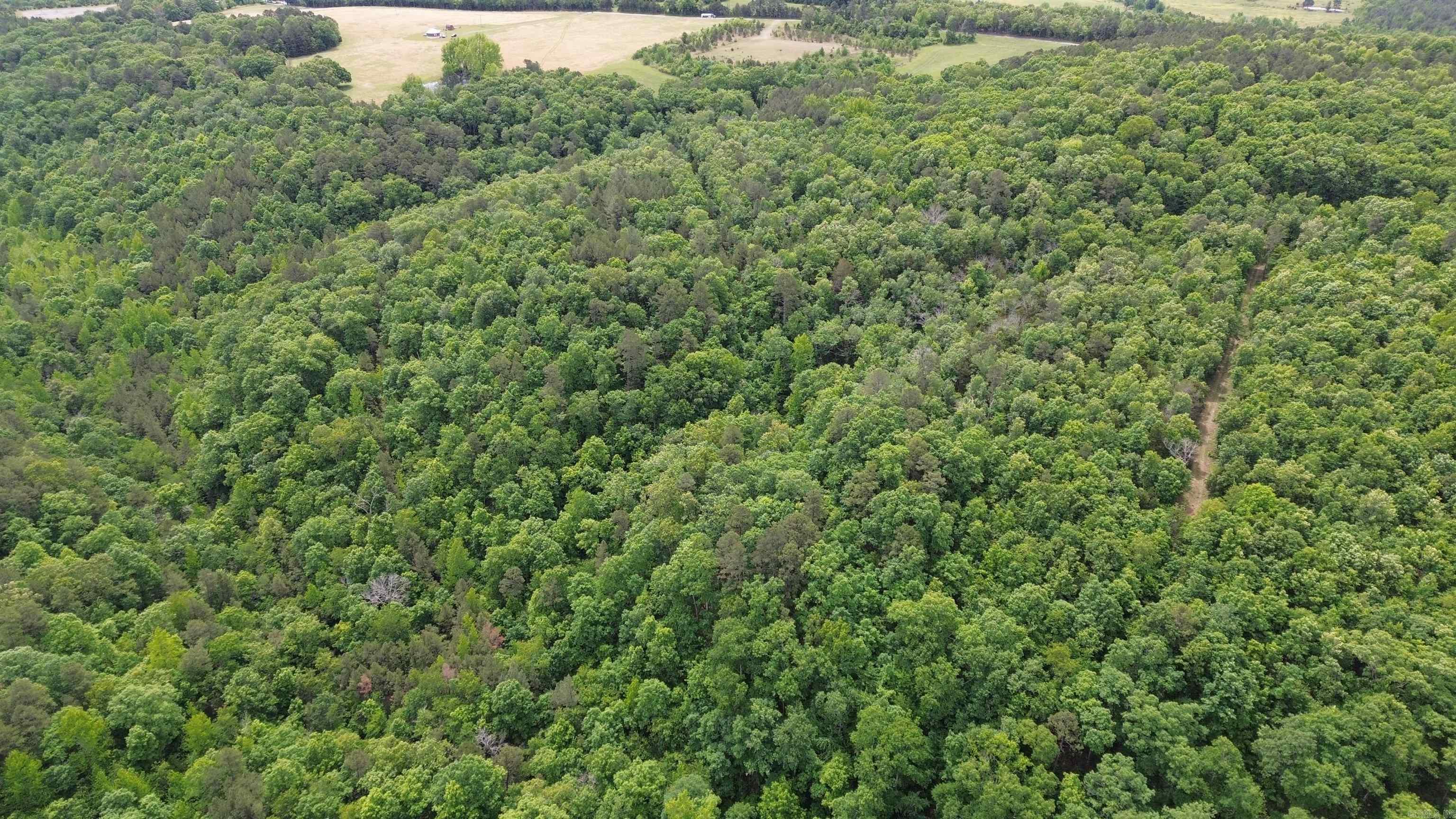 000 East Mountain Road  Bee Branch, AR