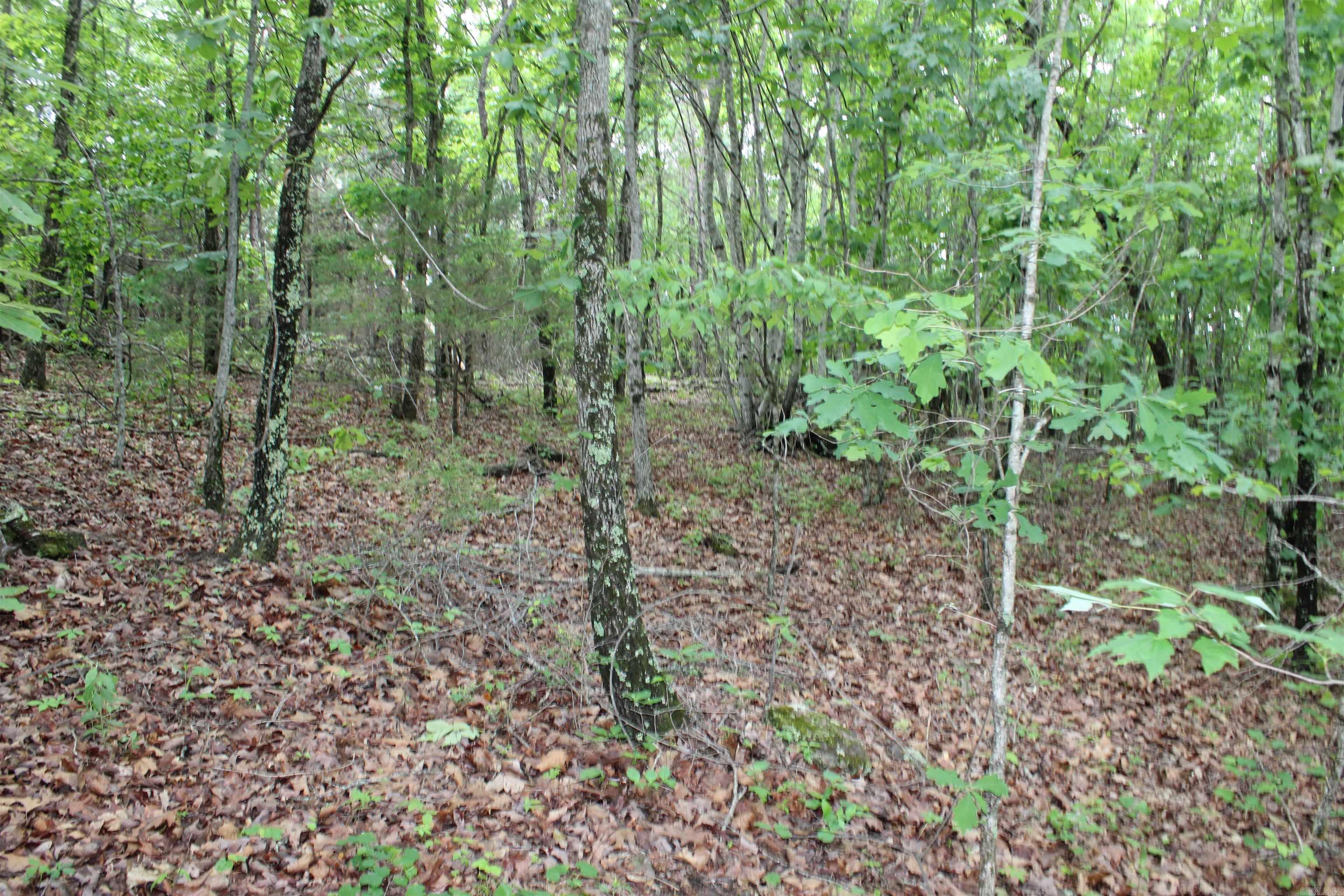 000 East Mountain Road  Bee Branch, AR