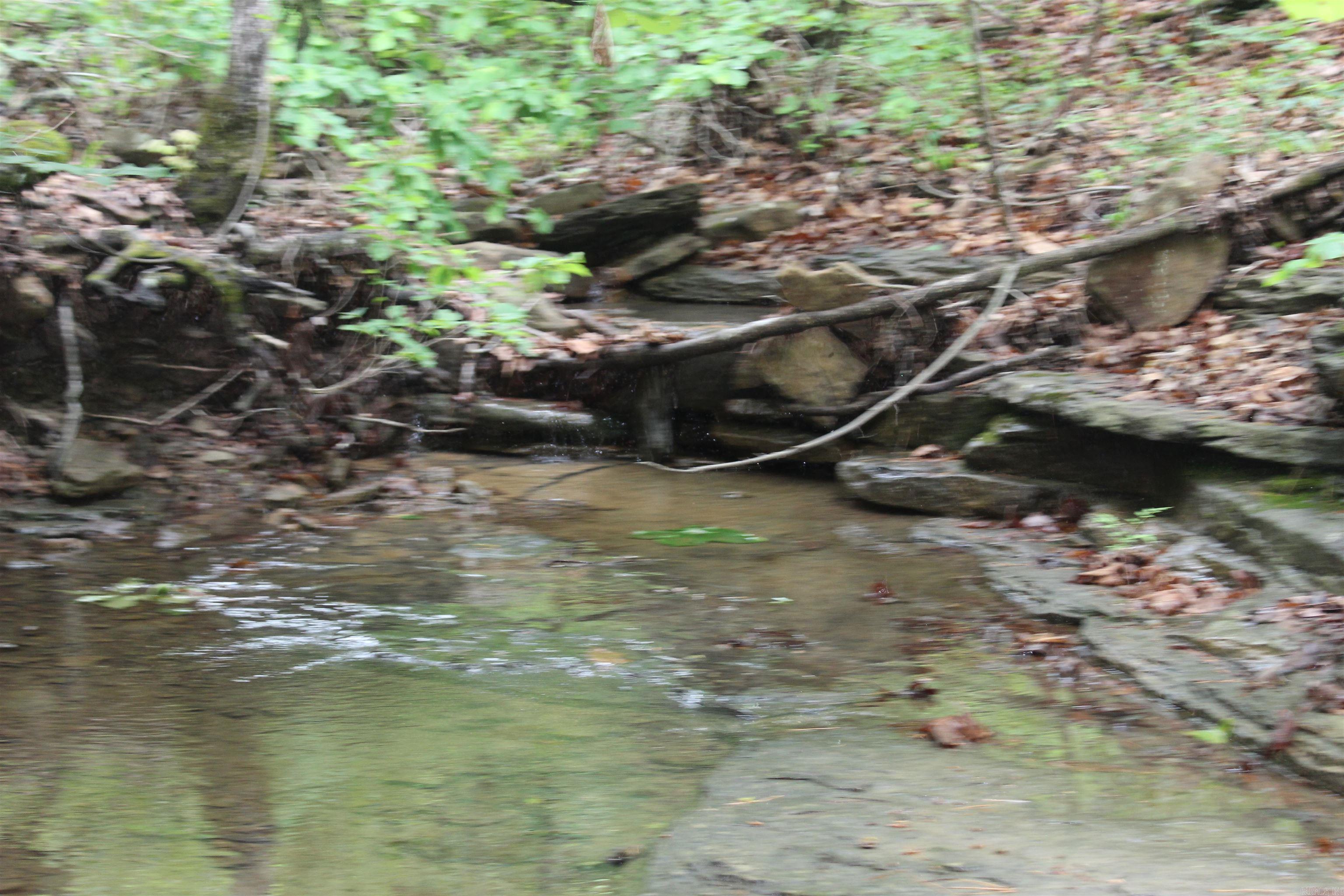 000 East Mountain Road  Bee Branch, AR