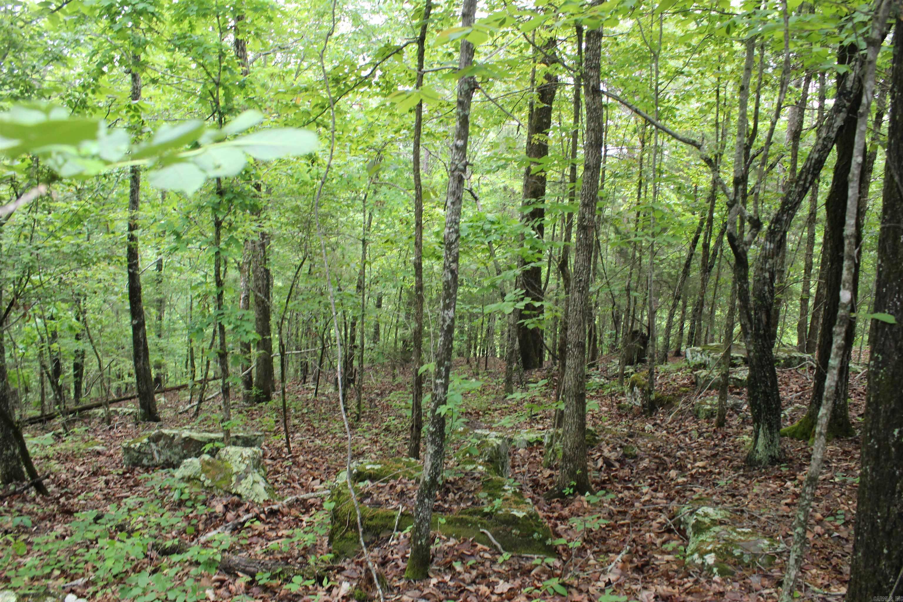 000 East Mountain Road  Bee Branch, AR