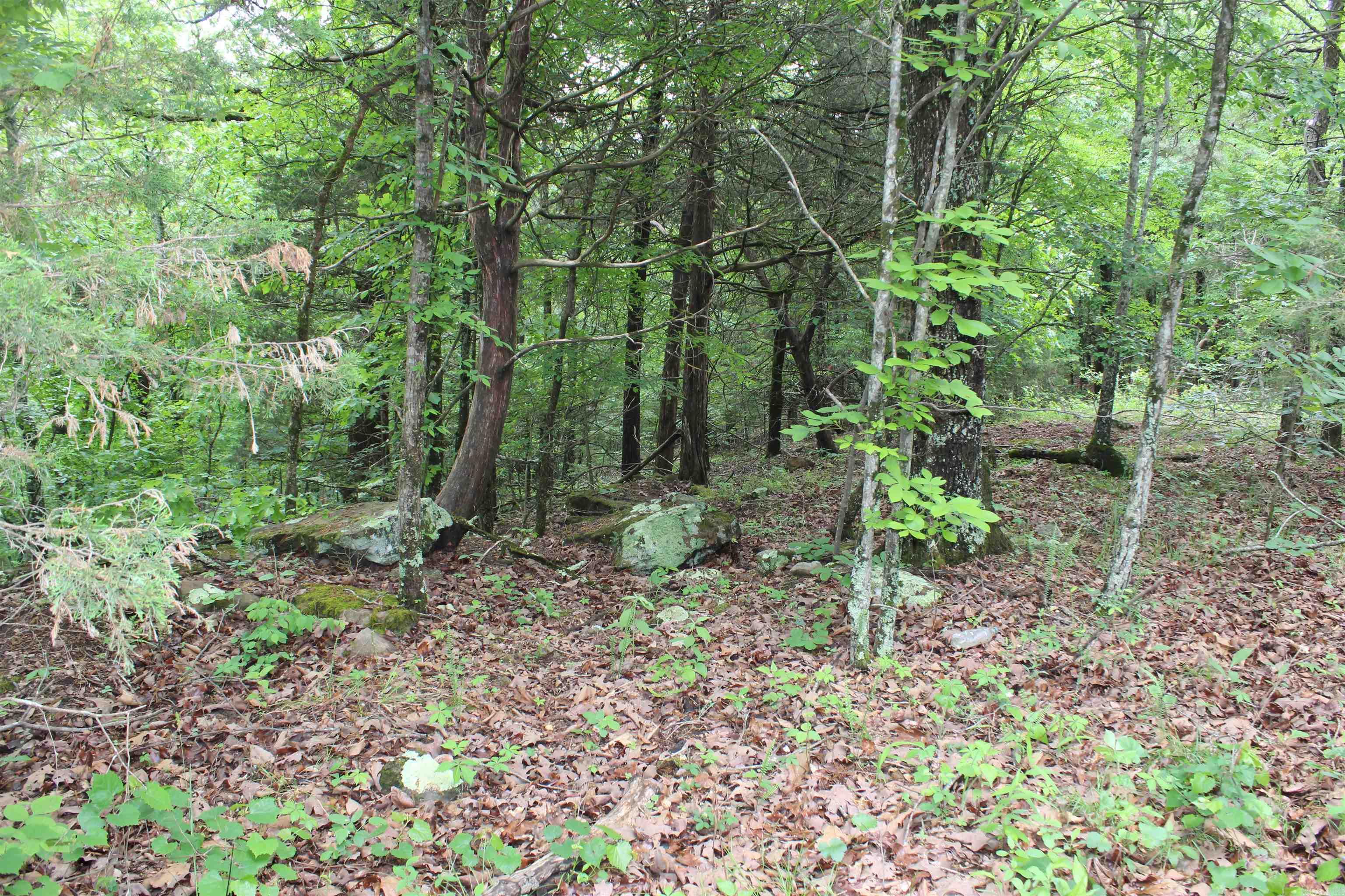 000 East Mountain Road  Bee Branch, AR