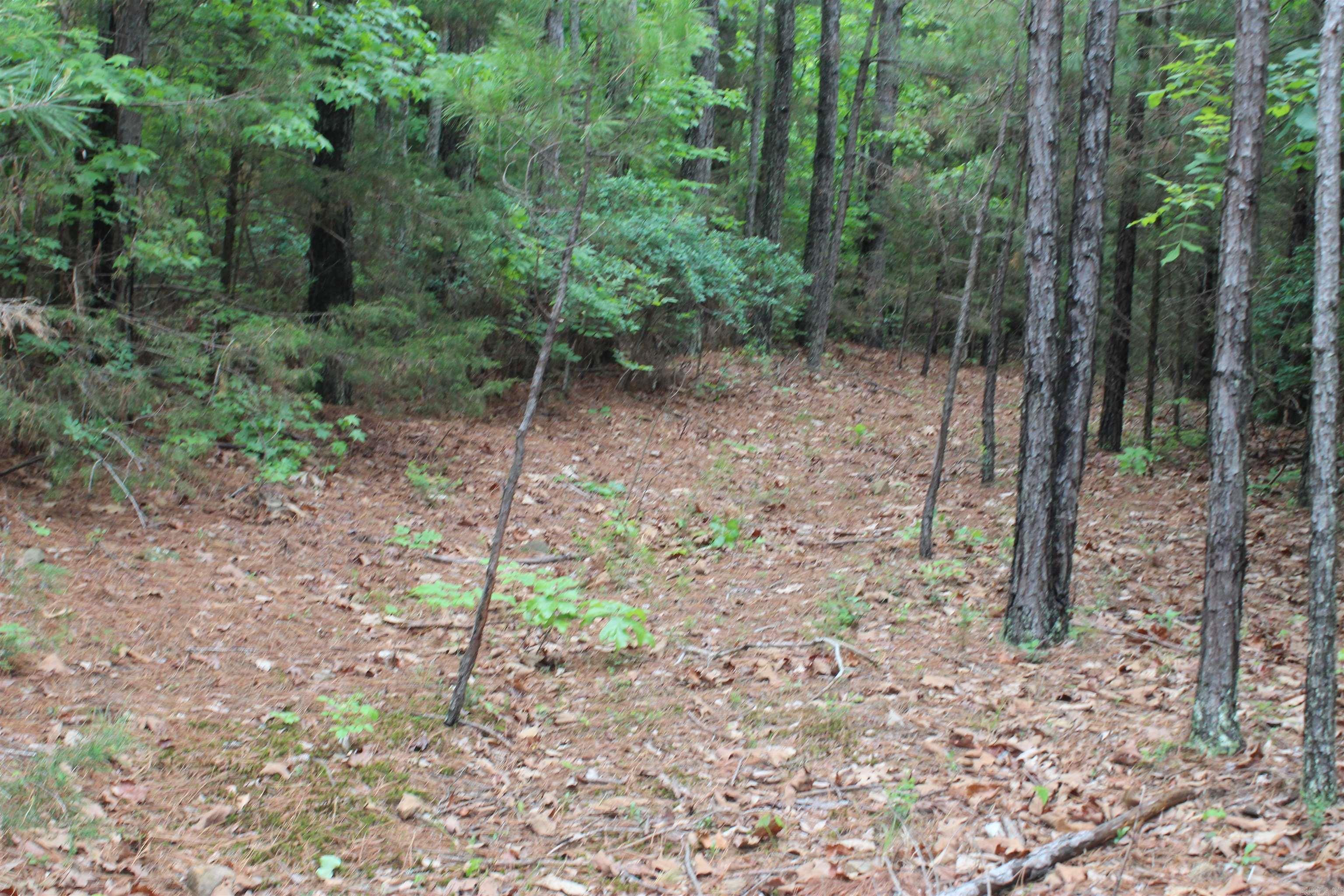 000 East Mountain Road  Bee Branch, AR