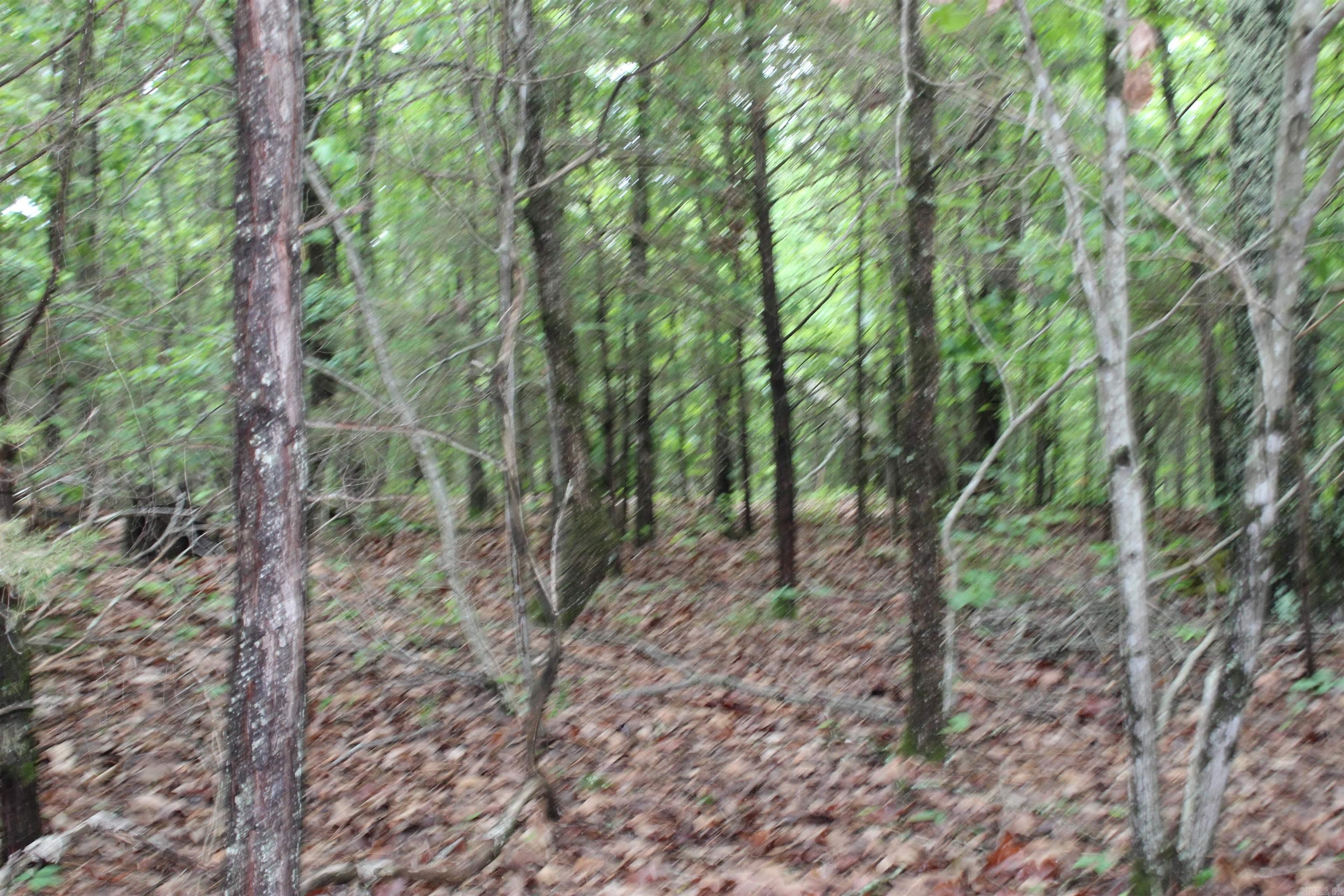 000 East Mountain Road  Bee Branch, AR