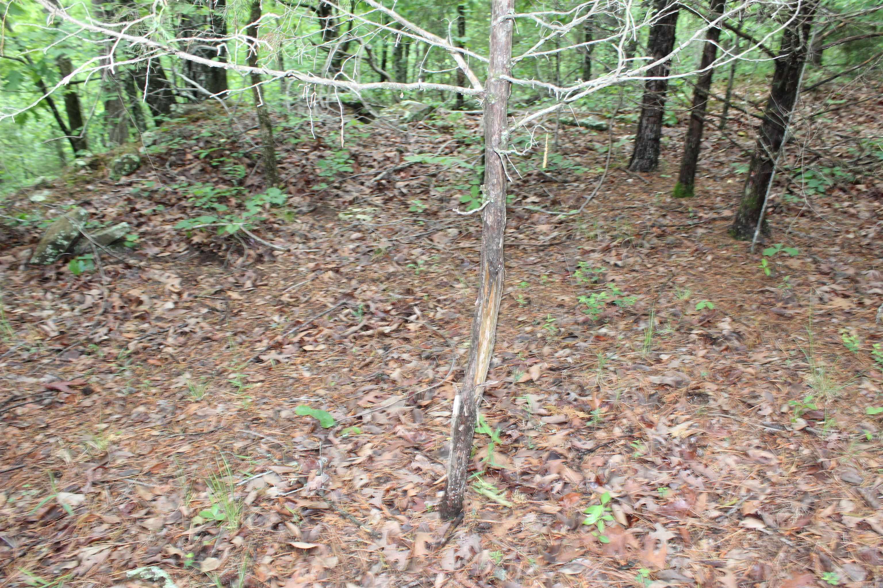 000 East Mountain Road  Bee Branch, AR