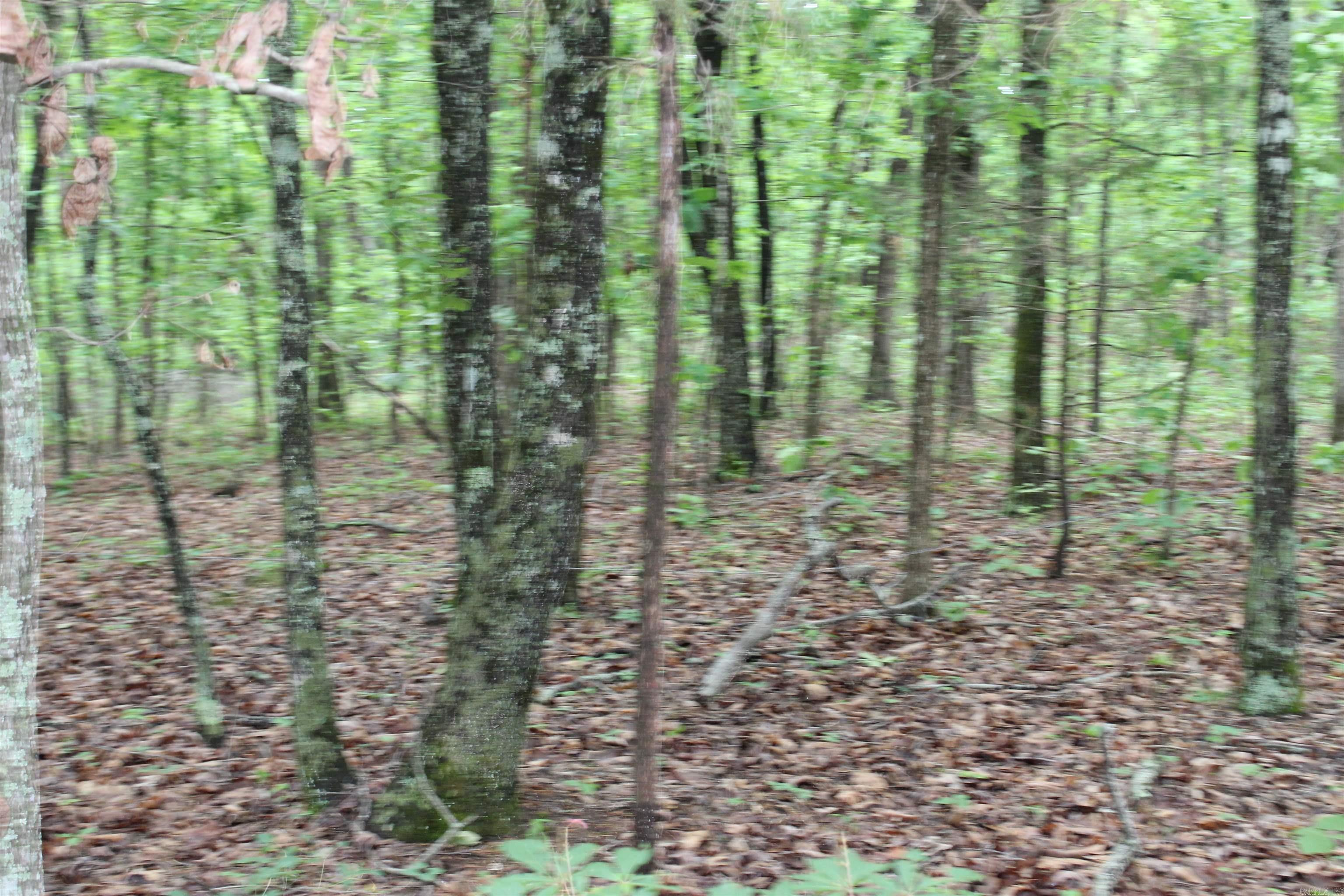 000 East Mountain Road  Bee Branch, AR