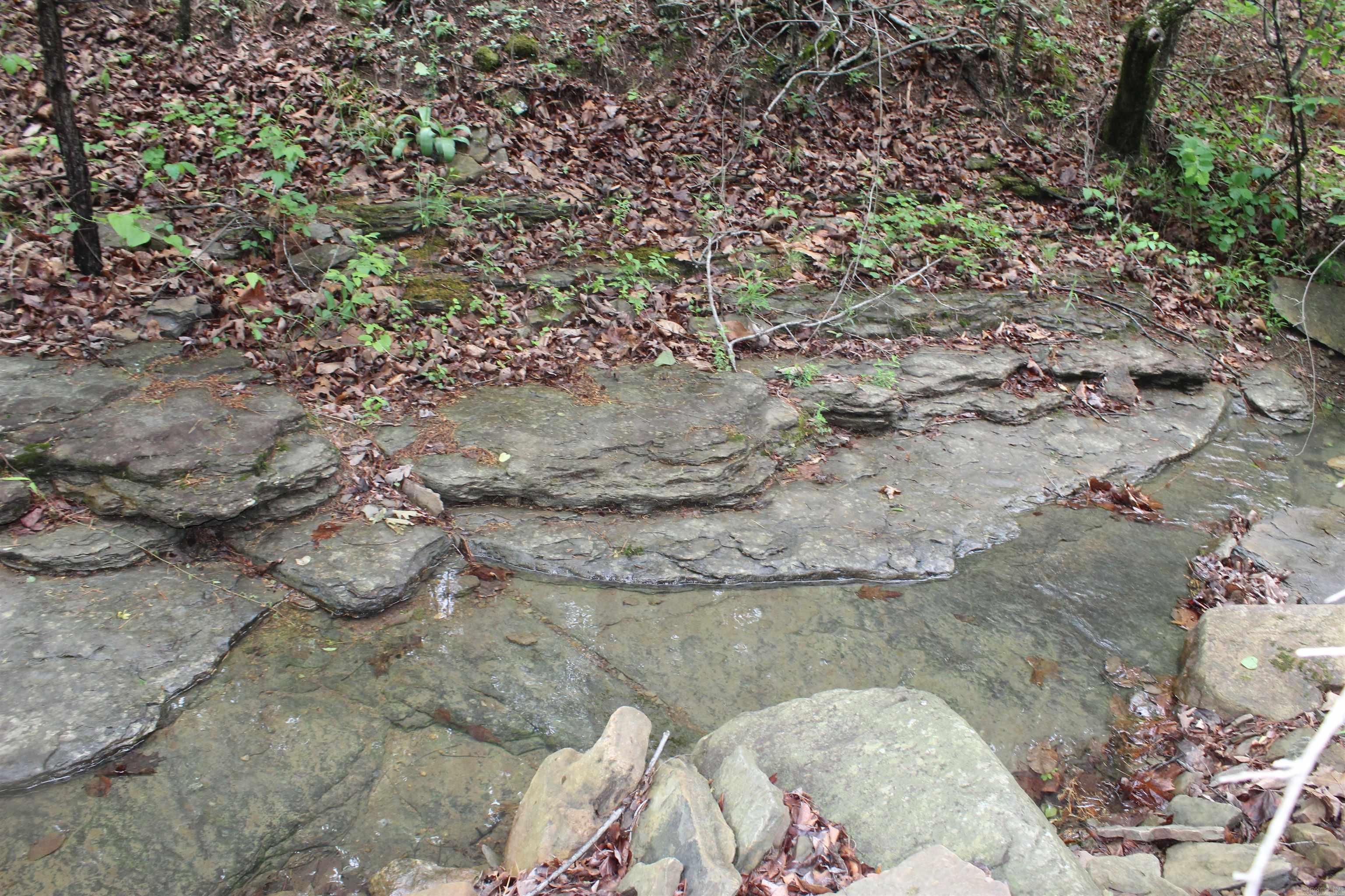 000 East Mountain Road  Bee Branch, AR