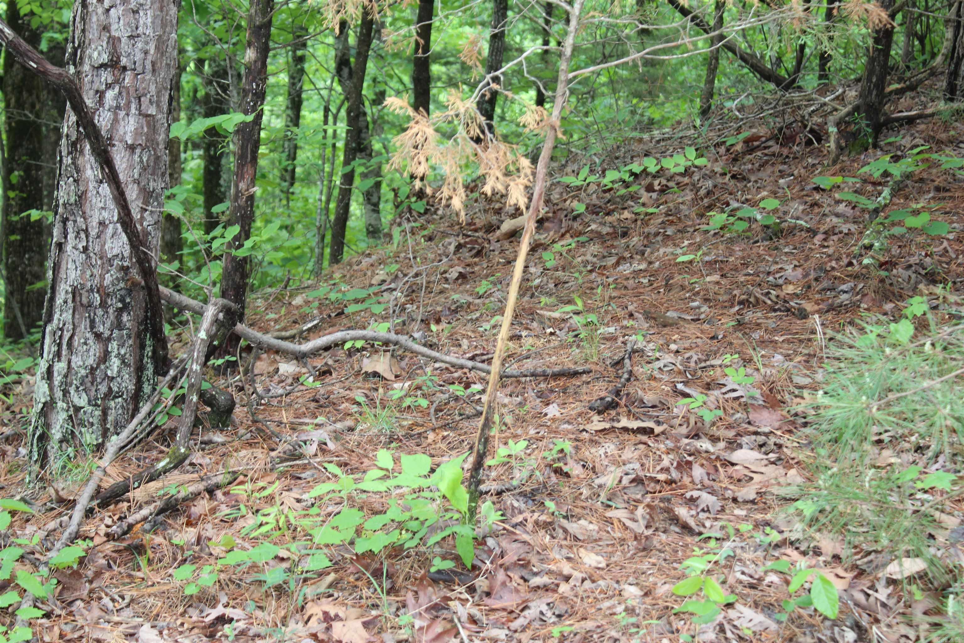 000 East Mountain Road  Bee Branch, AR