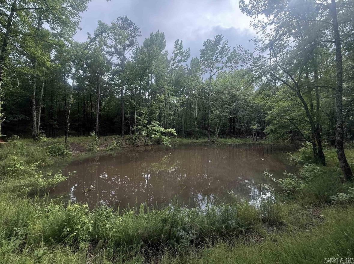 2995 Cresthaven  Conway, AR