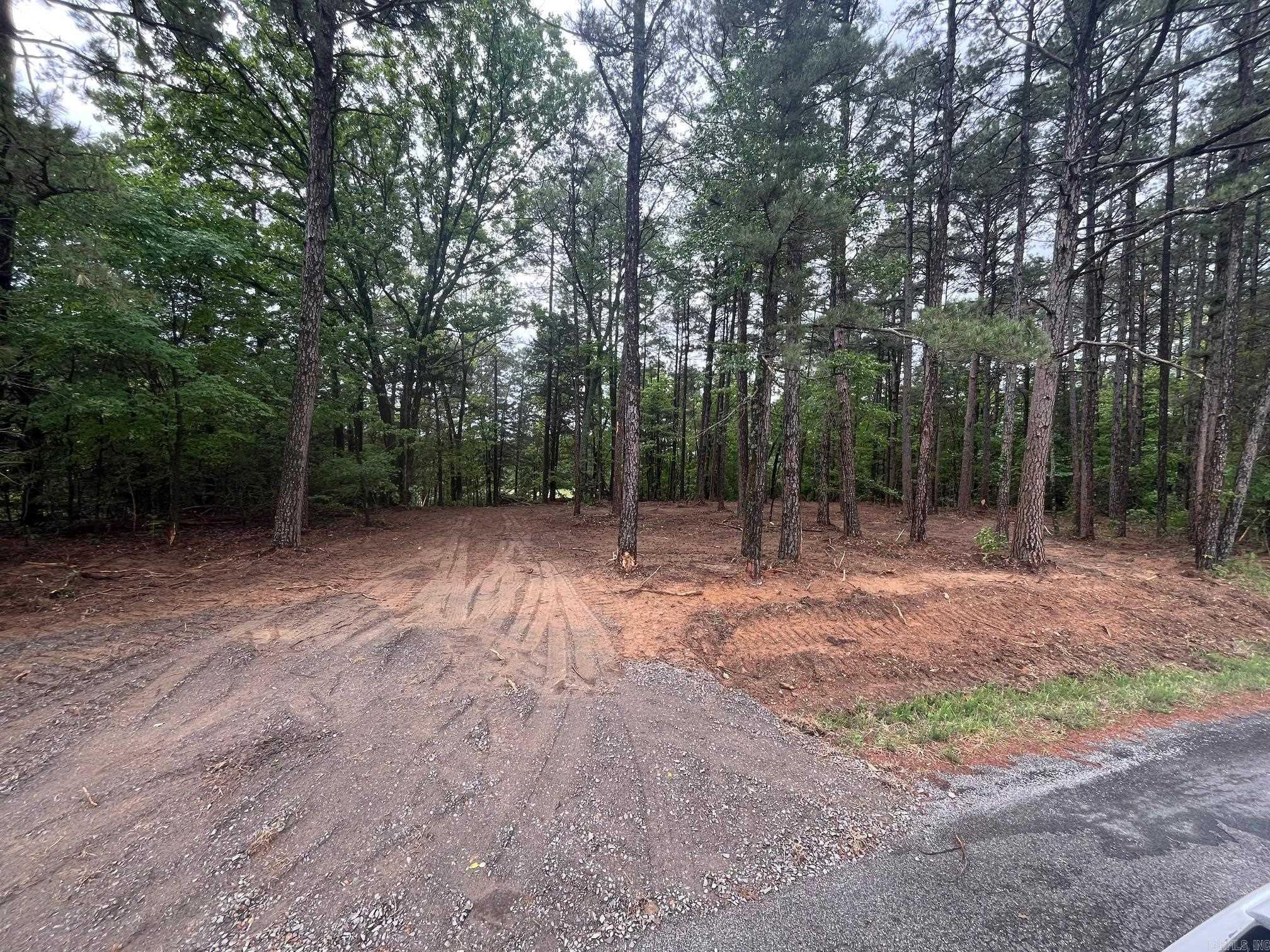 00000 Spires Rd.  Damascus, AR