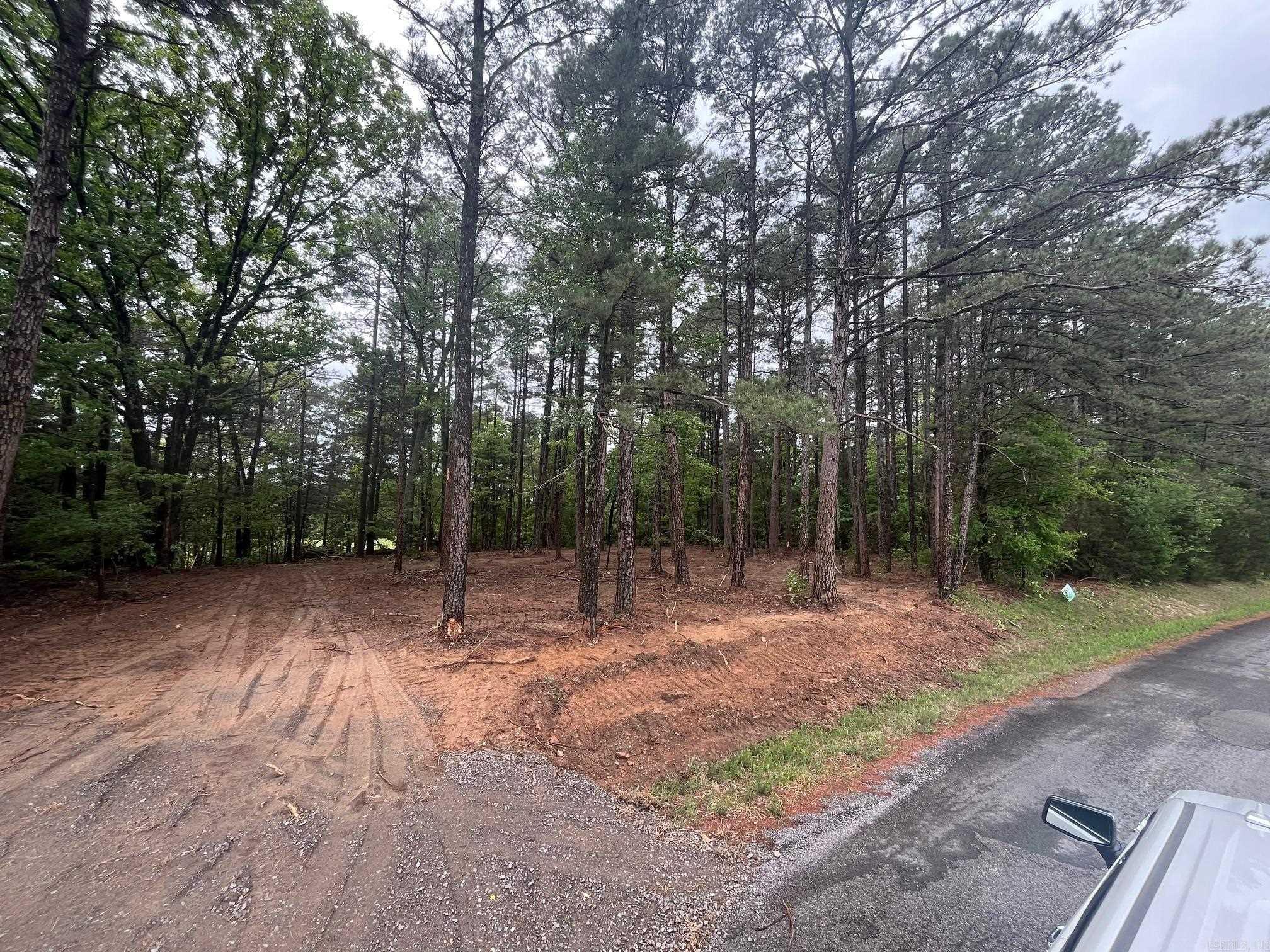 00000 Spires Rd.  Damascus, AR