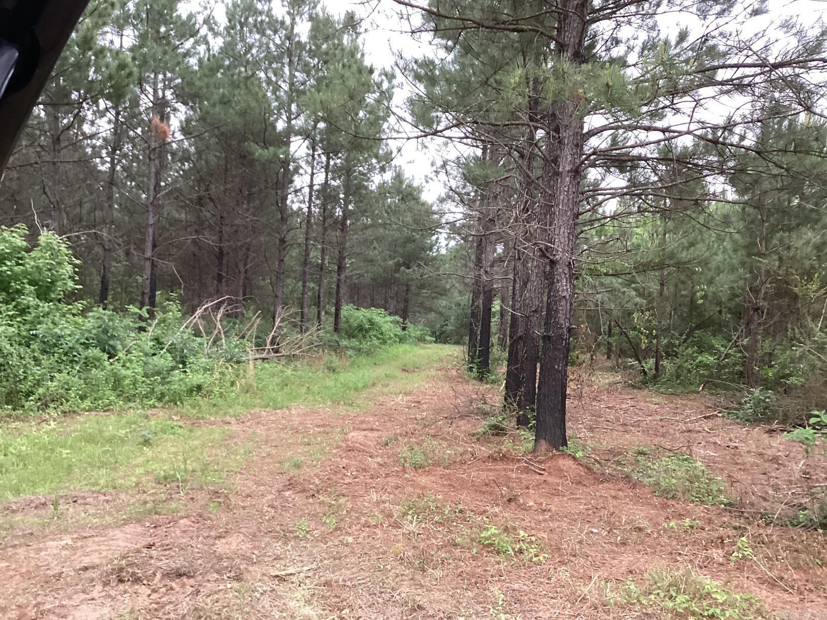 1935 Hwy 24  Prescott, AR