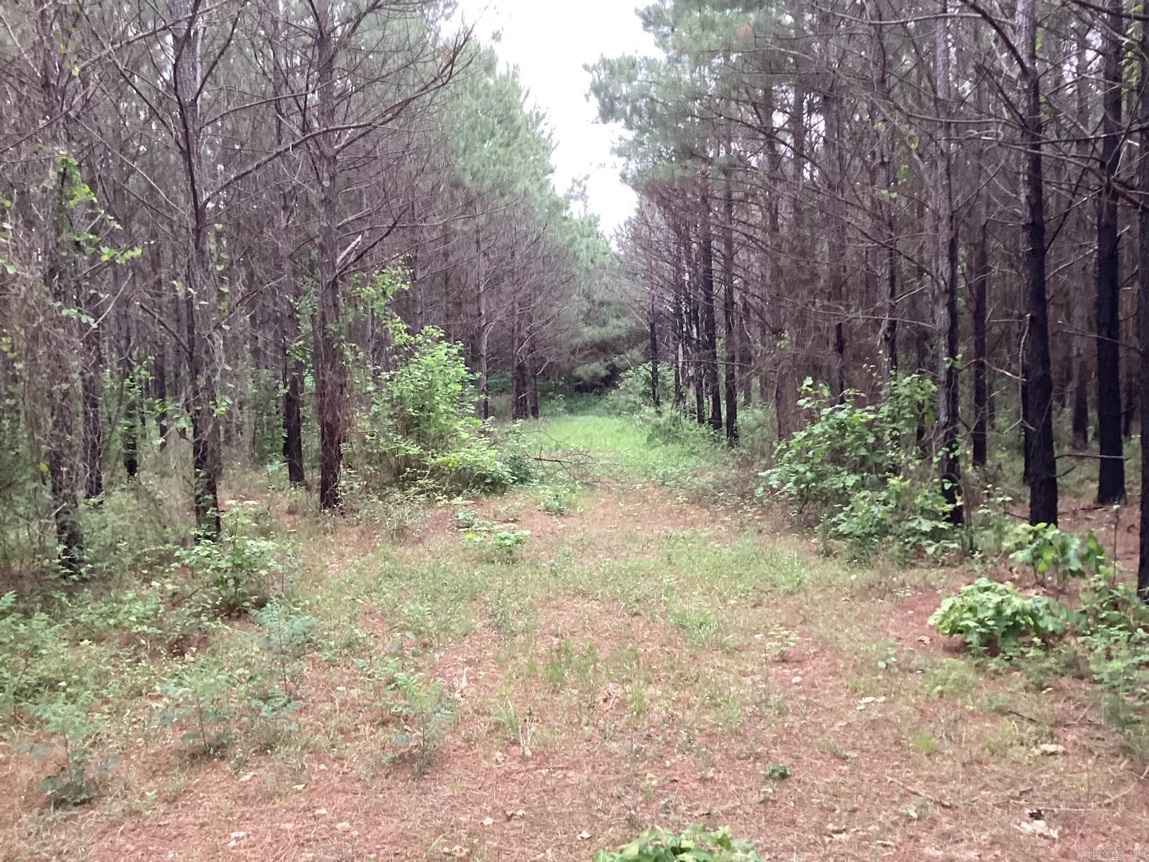 1935 Hwy 24  Prescott, AR