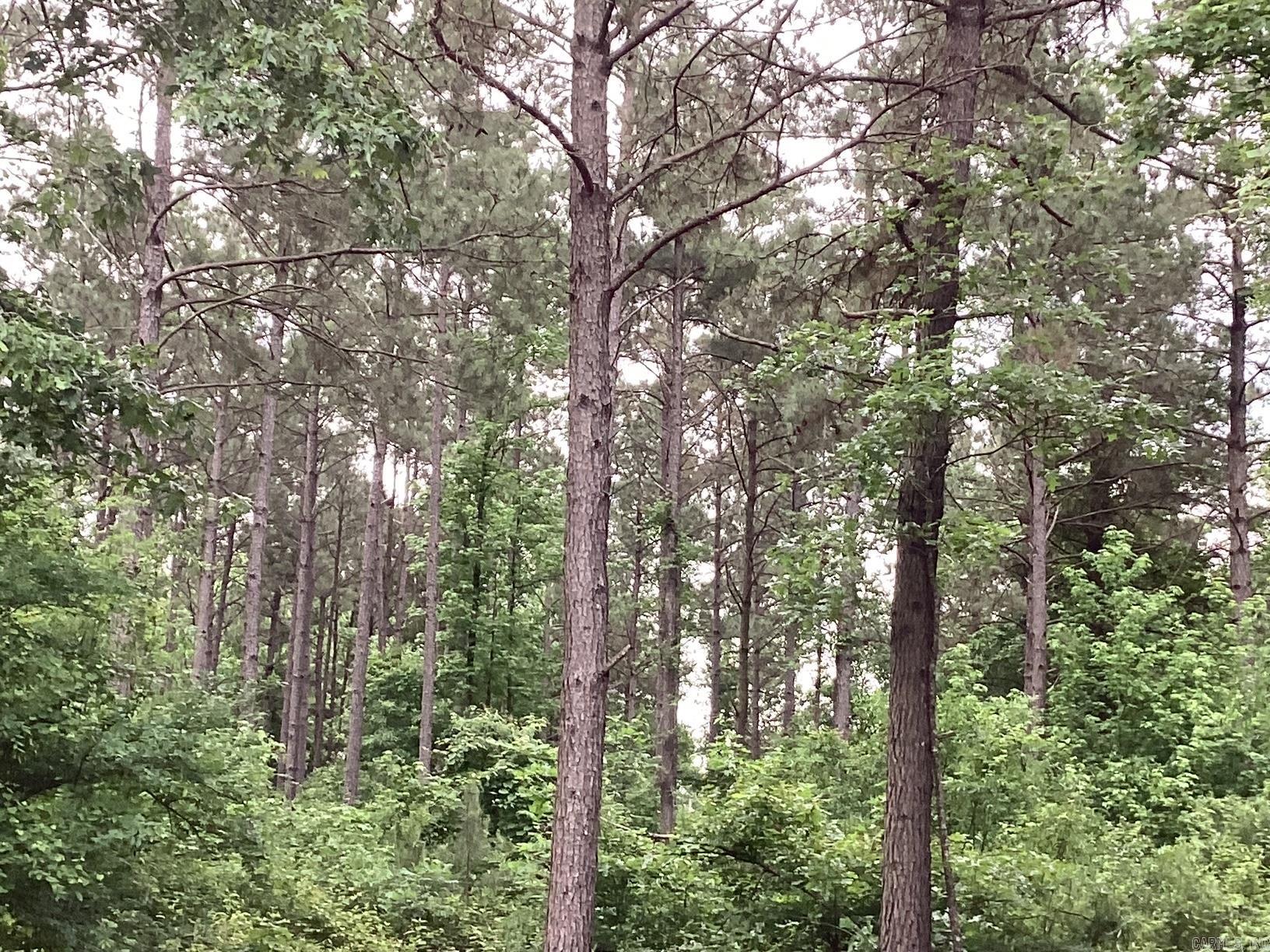 00 Hwy 24  Prescott, AR
