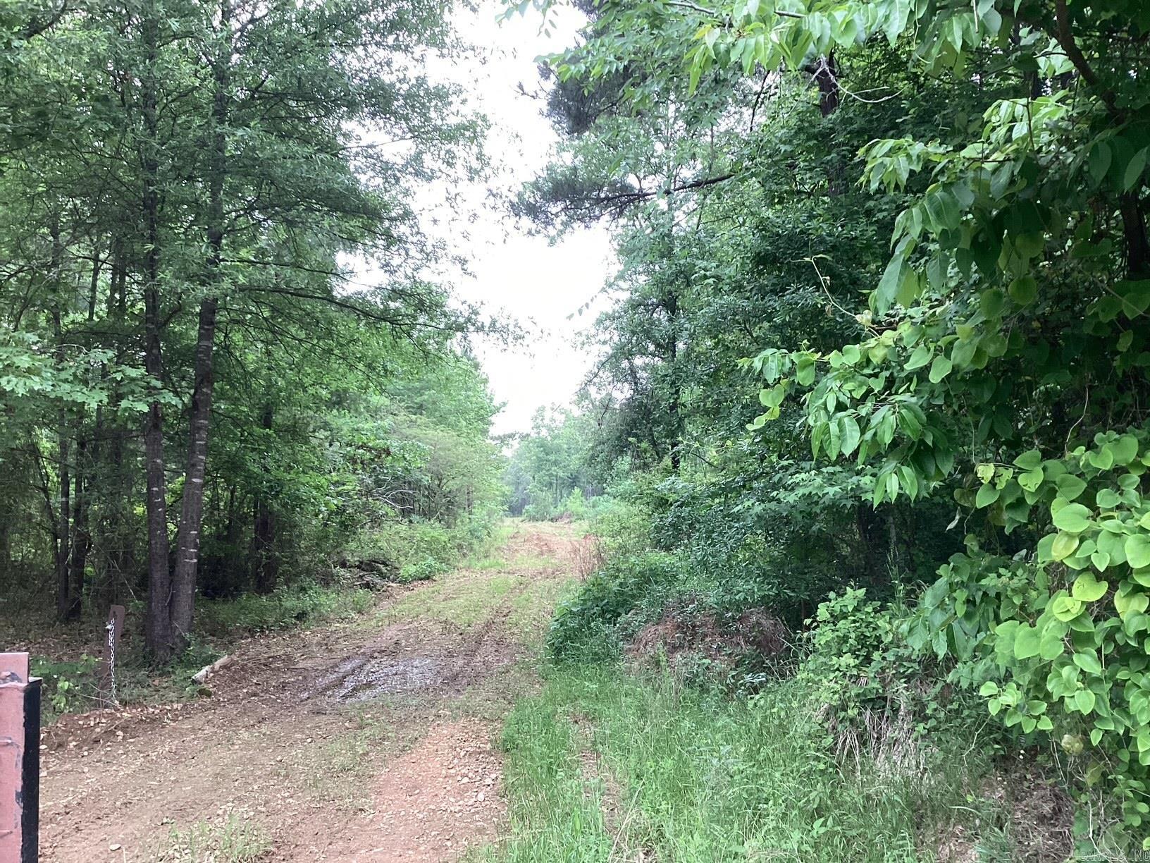 00 Hwy 24  Prescott, AR