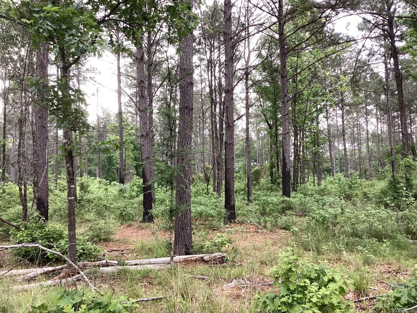00 Hwy 24  Prescott, AR